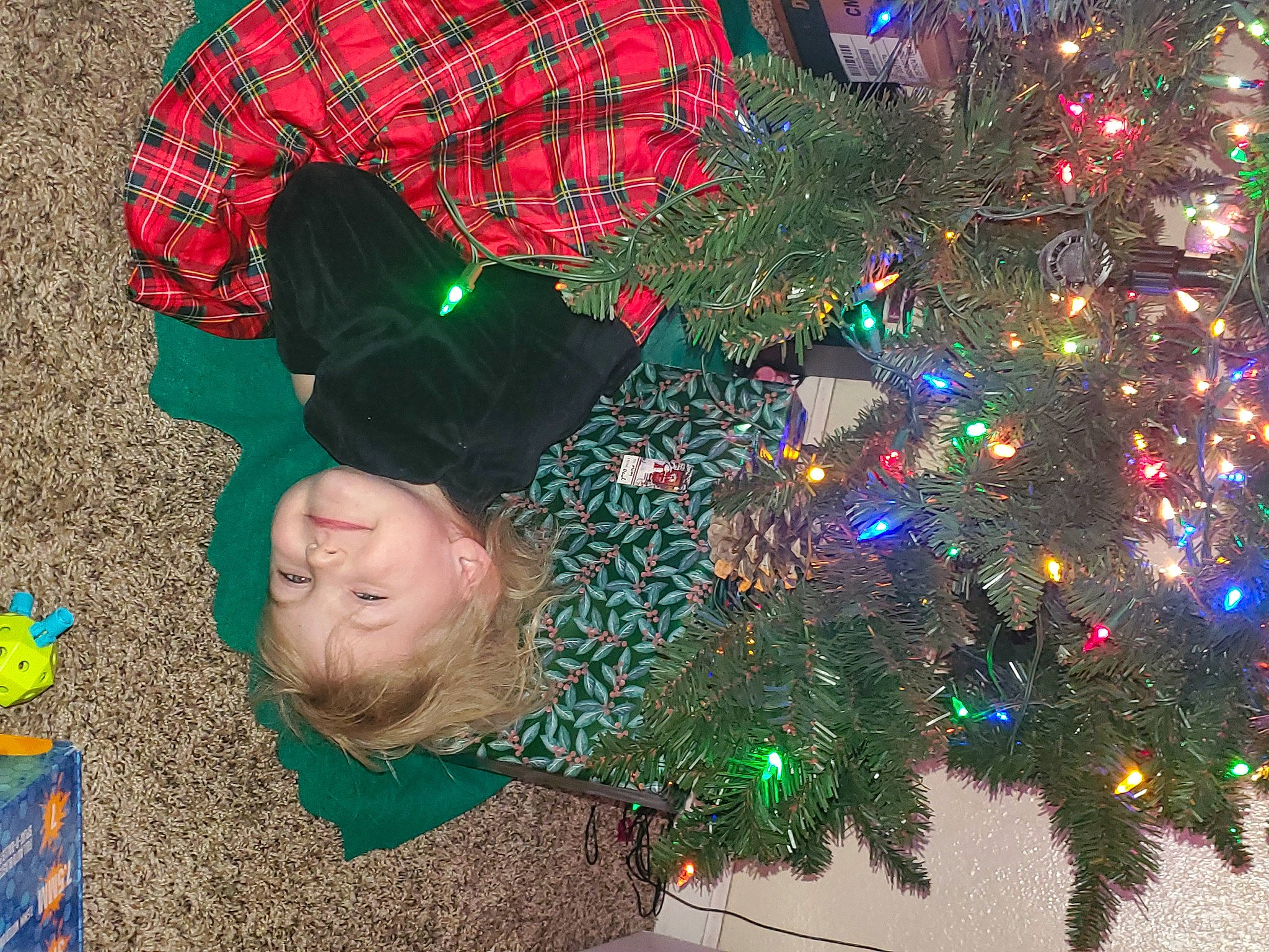 April is registered to the contest to win money with this photo: christmas, christmas_decoration, christmas_eve, christmas_ornament, christmas_tree, conifer, electric_blue, event, evergreen, fun, green, happy, holiday, holiday_ornament, joy, organism, ornament, person, plant, smile