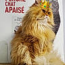 cat, persian_cat, long_hair, fluffy, orange_cat, sitting, crown, royalty, pet, animal, portrait, indoors, poster, french_text, text_overlay, funny, whiskers, green_eyes, fur, carpet