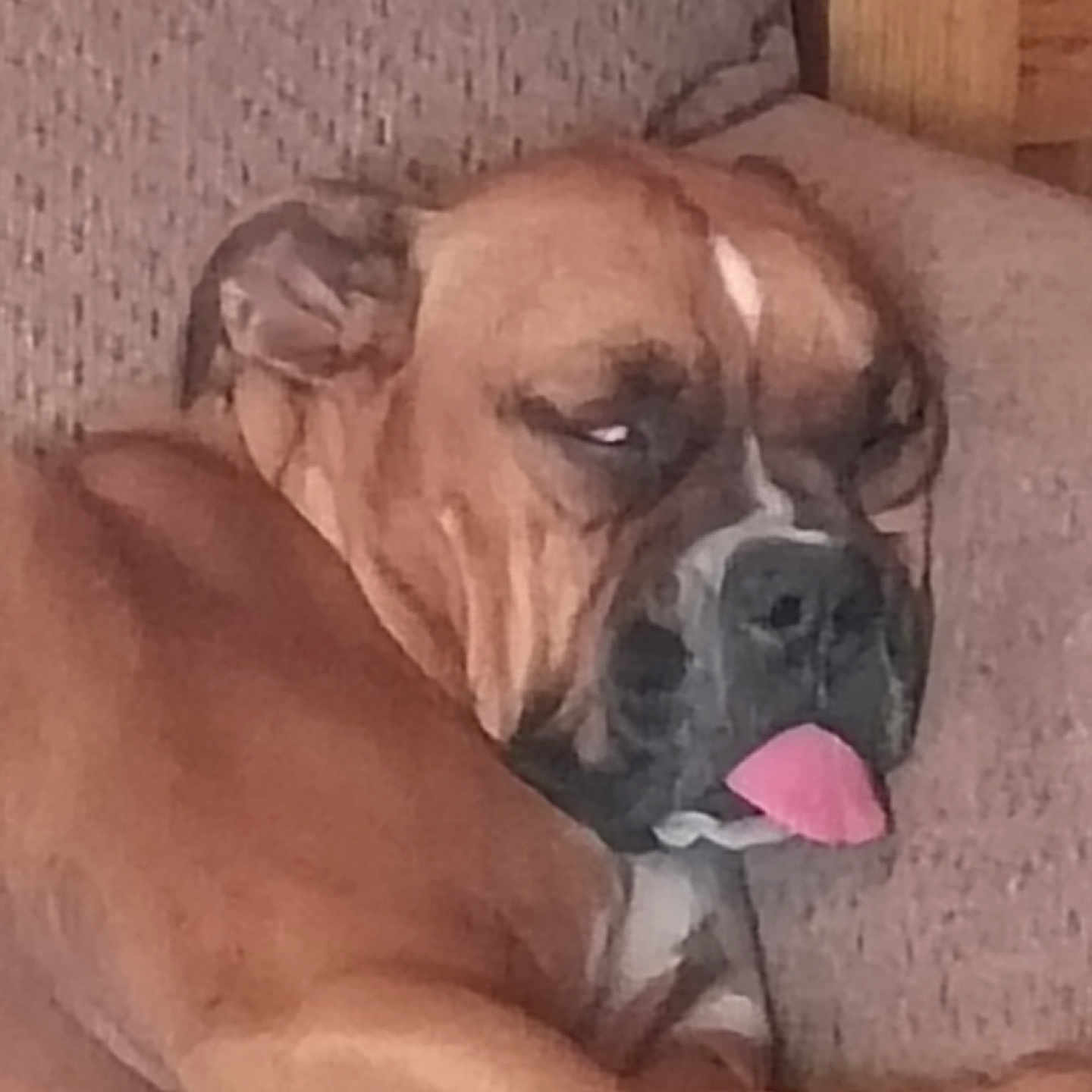 Gus