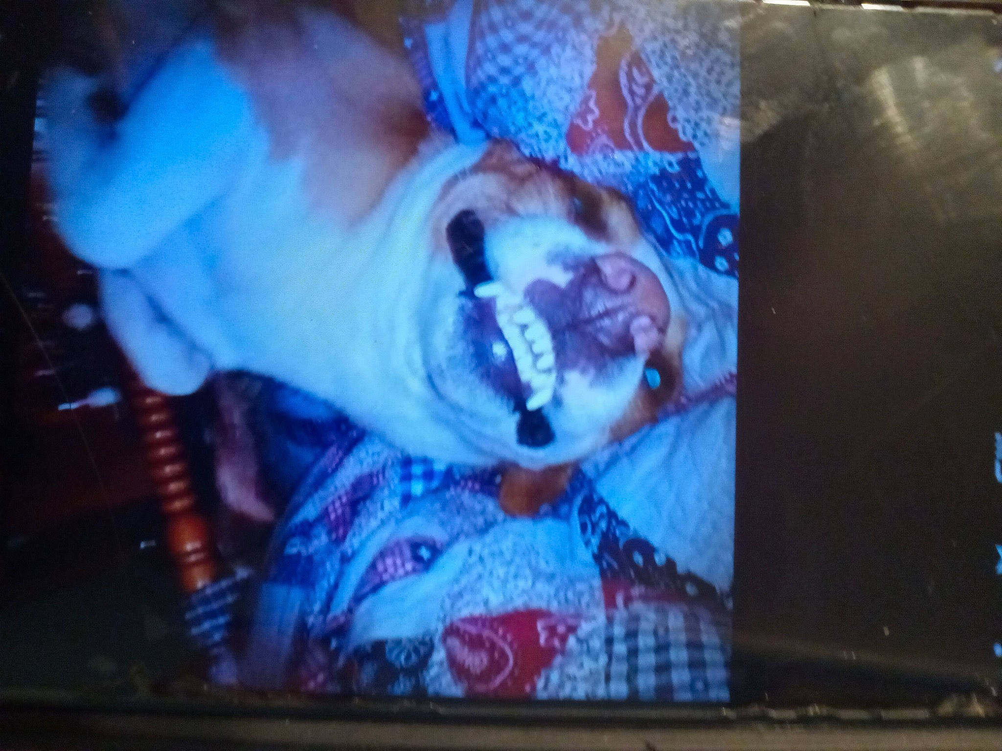 Rebel joined the competition — help win amazing prizes! darkness, display_device, electric_blue, entertainment, event, flat_panel_display, flesh, fun, media, microphone, multimedia, music, musician, performance_art, performing_arts, public_event, room, space, television_set, visual_arts