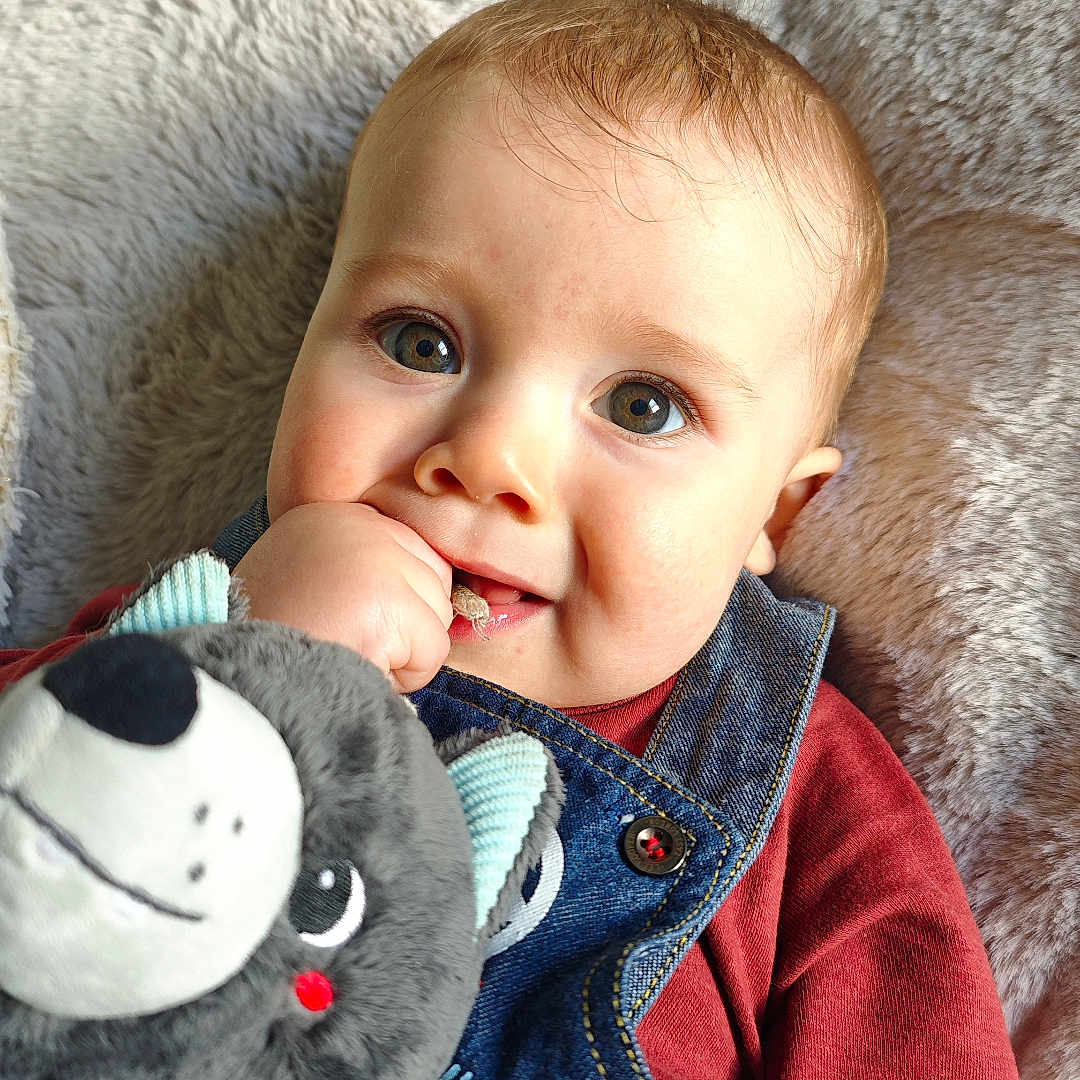 Marius a rejoint le concours — aidez-le/la à gagner de superbes lots ! baby, bodypart, clothing, coat, couch, cushion, face, finger, furniture, hand, happy, head, homedecor, jacket, jeans, pants, person, photography, portrait, toy