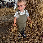 Jules participe au concours pour gagner de l'argent avec cette photo : child, kid, barn, hay, straw, goat, animal, boots, overalls, striped_shirt, farm, fence, curious, standing, indoor, rural, young_child, playing, nature, livestock