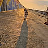 dog, running, sunset, shadow, mural, wall, path, outdoor, sun, sky, person, legs, sand, light, evening, art, colorful, happy, pet, nature
