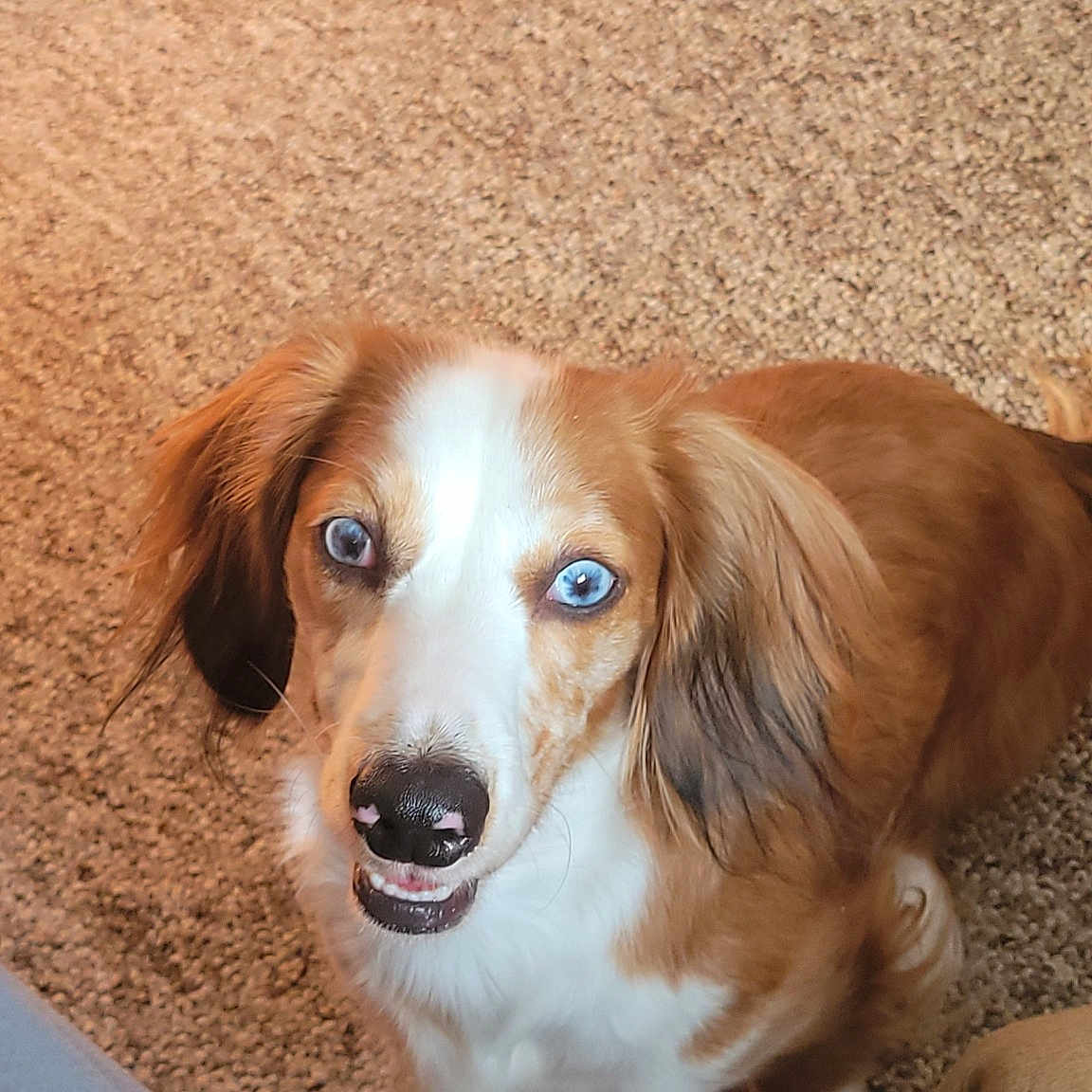 Sophie