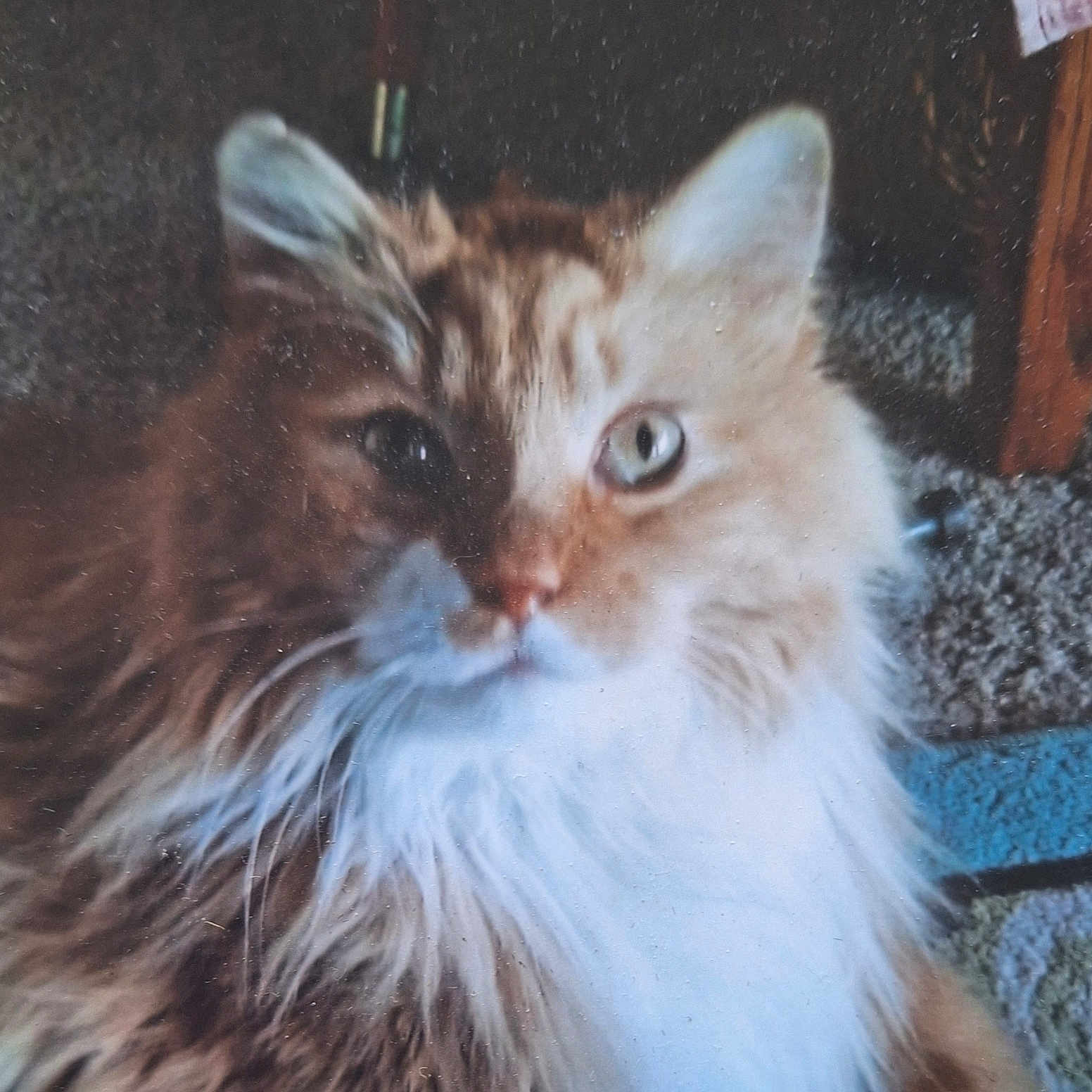 Milo