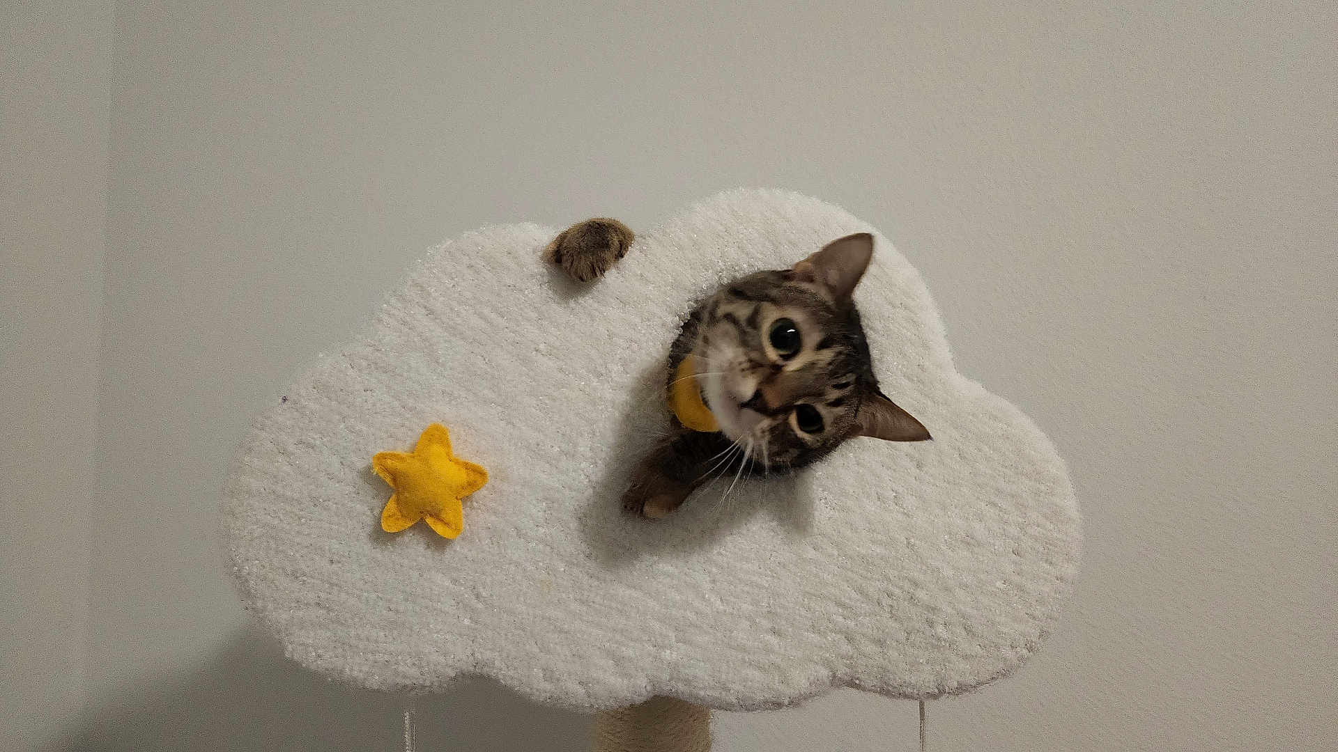 Comet