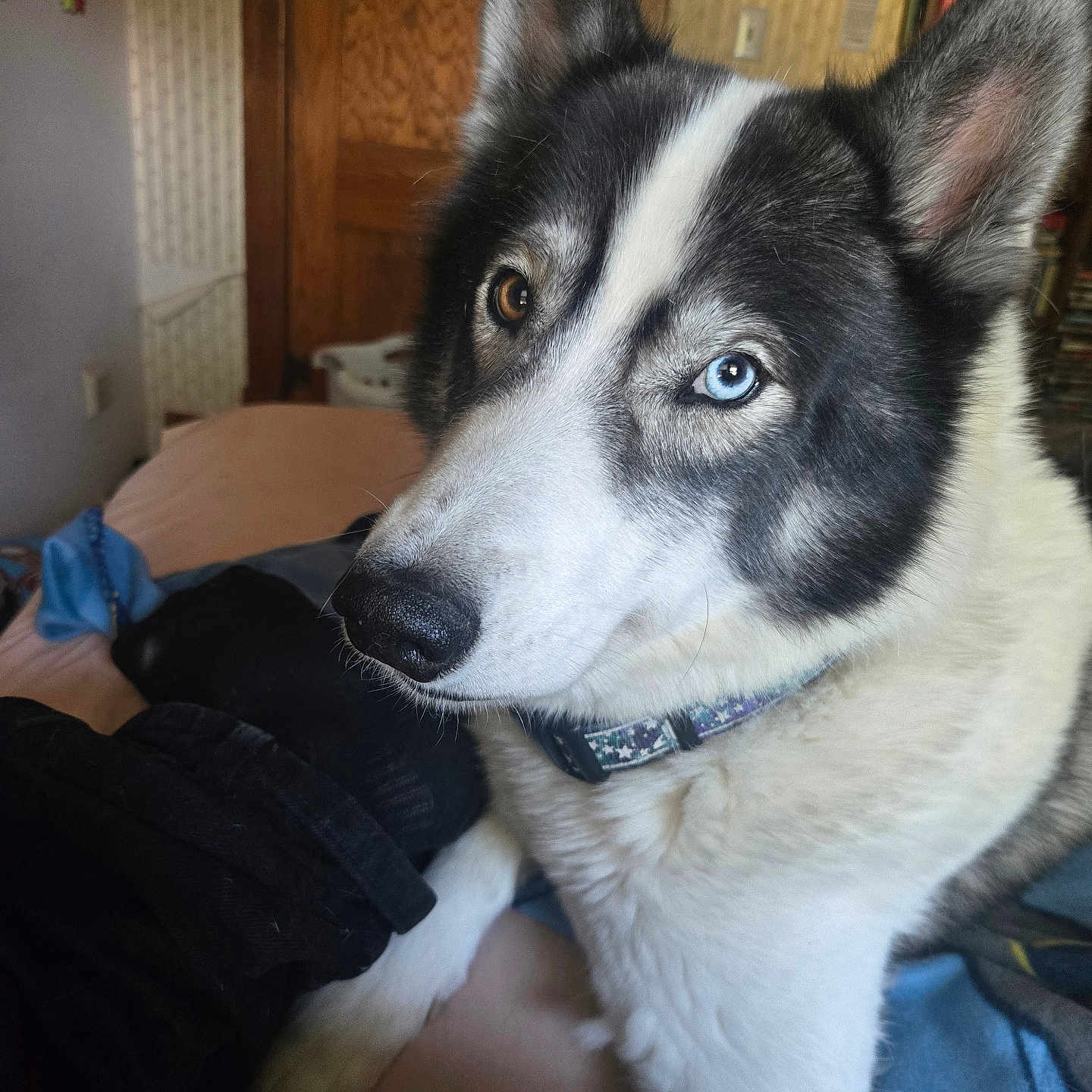Coco