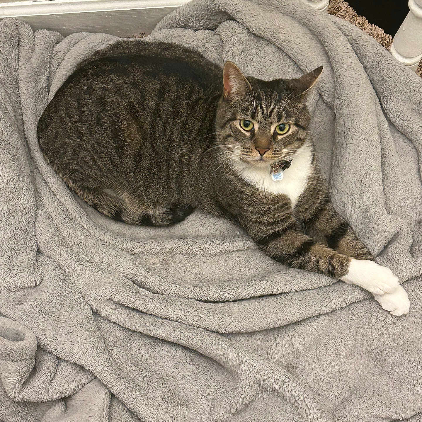 Nala