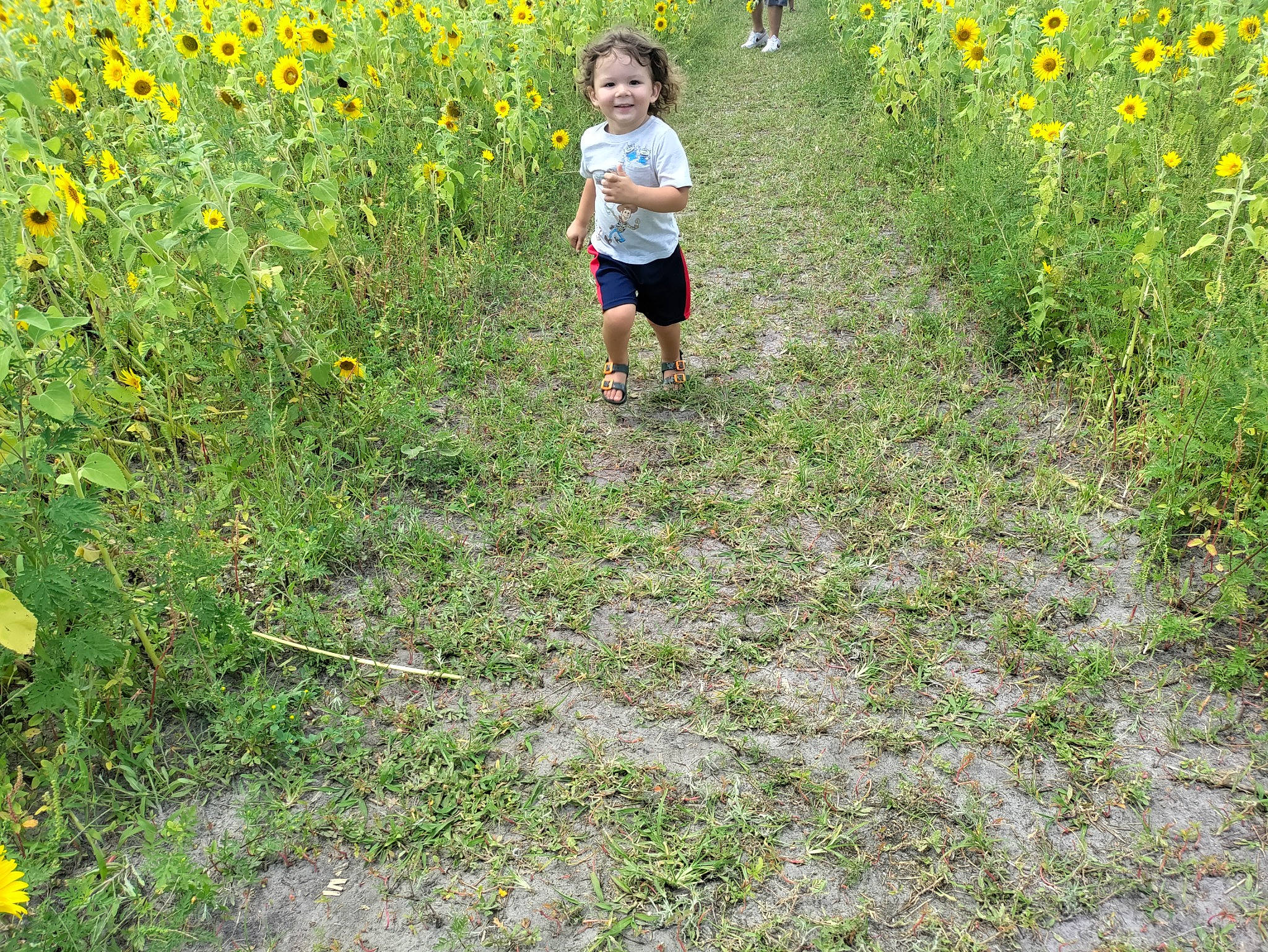 Azrael joined the competition — help win amazing prizes! agriculture, biome, ecoregion, field, flower, flowering_plant, grass, grass_family, grassland, groundcover, joy, landscape, meadow, natural_landscape, people_in_nature, person, plant, plant_community, prairie, shrub