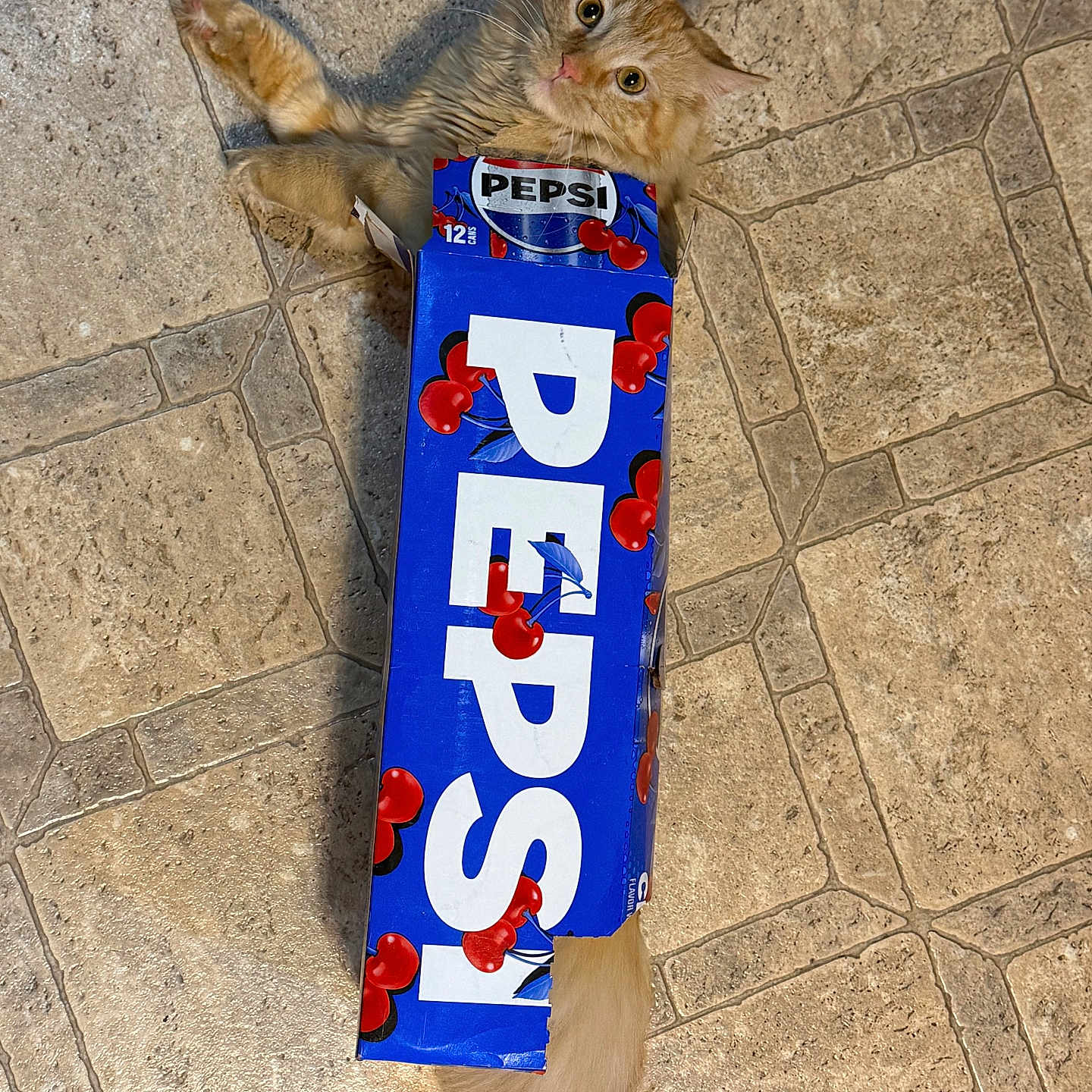 Paprika