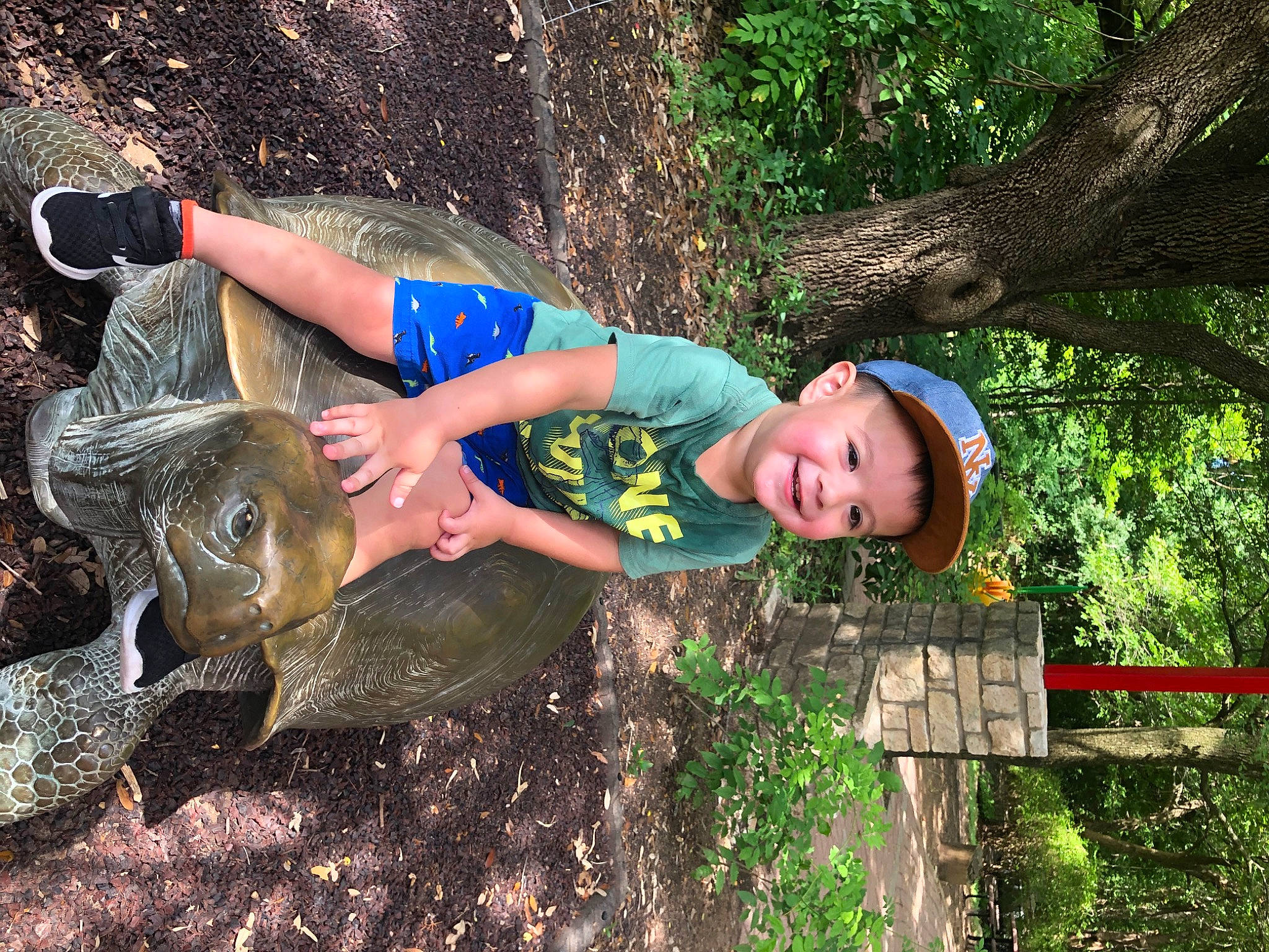 Iker joined the competition — help win amazing prizes! headwear, joy, person, tree