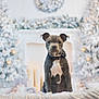 puppy, dog, collar, bandana, christmas_tree, holiday, winter, decorations, indoor, fireplace, soft_light, fur, pet, cute, sitting, animal, festive, blurred_background, cozy, white