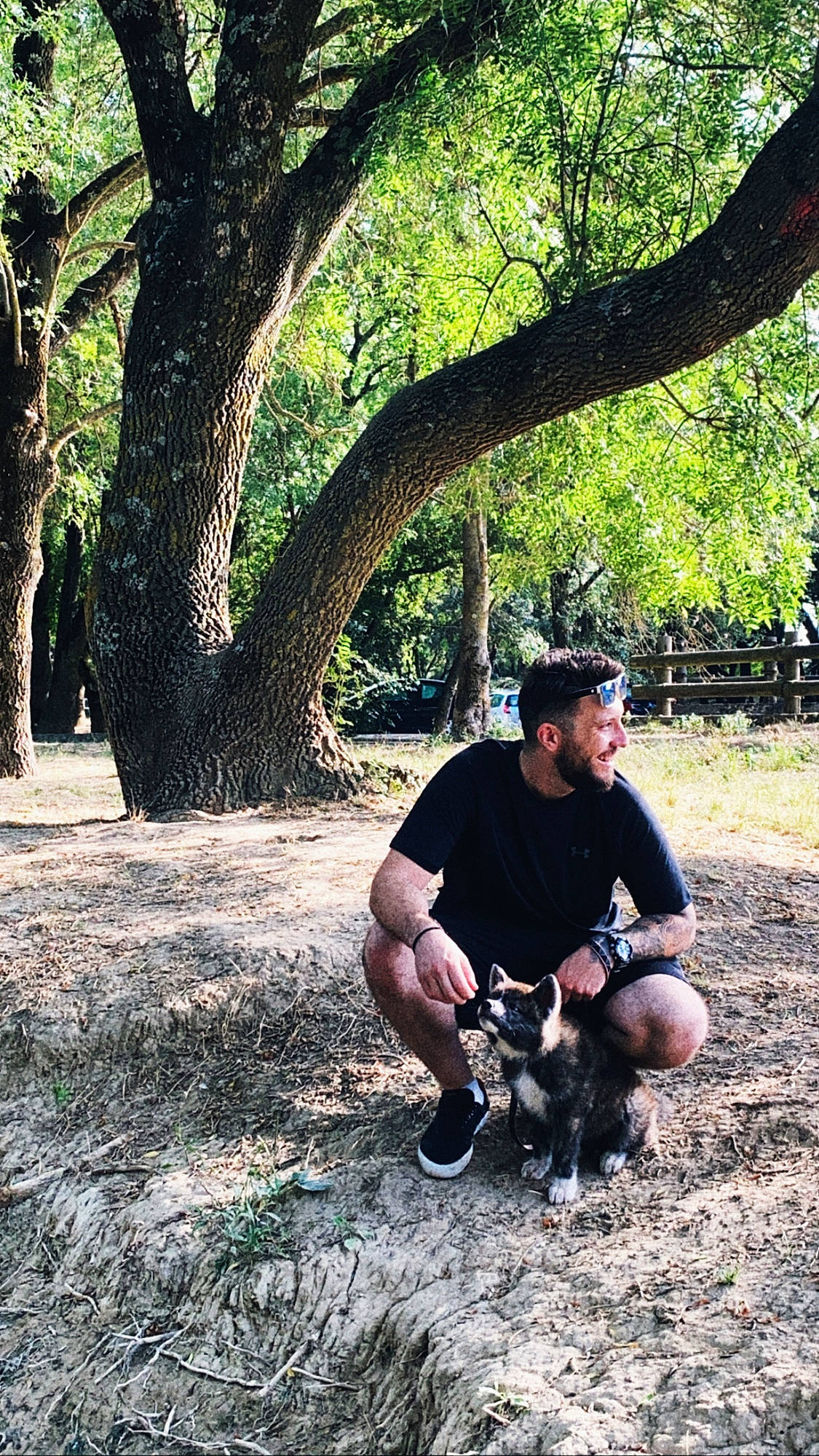 Aïka a rejoint le concours — aidez-le/la à gagner de superbes lots ! branch, canidae, forest, grass, photography, plant, sitting, tree, woodland, woody_plant