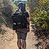 animal, backpack, dog, hat, hiking, leaves, nature, outdoor, path, person, plants, shadow, shoes, shorts, summer, sunny, tattoo, trail, trees, walking