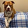 Duke