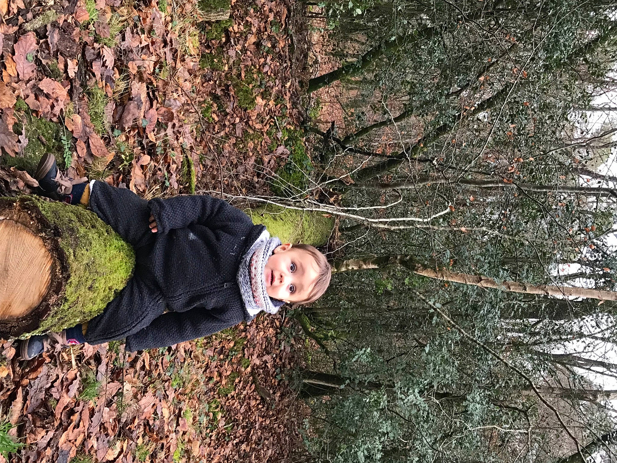 Rayan a rejoint le concours — aidez-le/la à gagner de superbes lots ! branch, deciduous, forest, grass, happy, landscape, leisure, natural_landscape, people_in_nature, person, plant, shrub, sunglasses, toddler, tree, trunk, twig, winter, wood, woodland