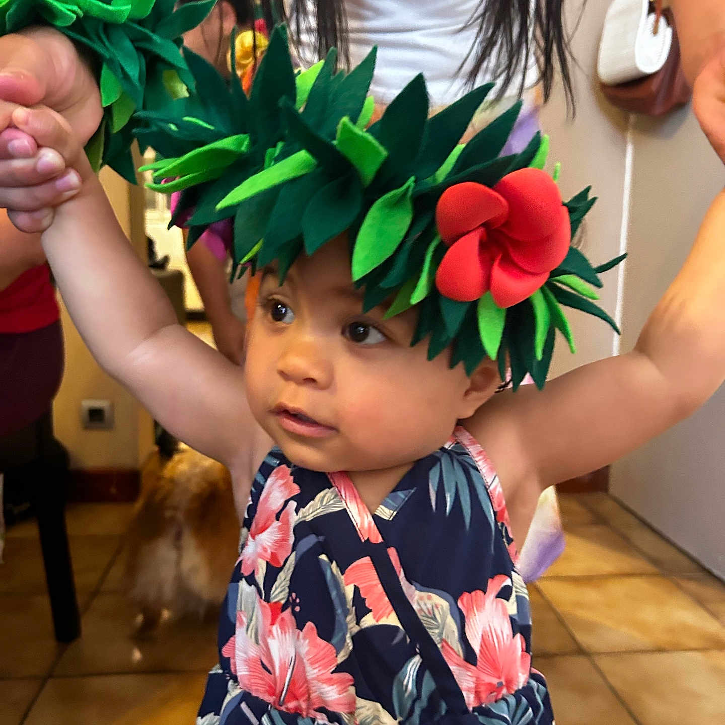 Manoarani a rejoint le concours — aidez-le/la à gagner de superbes lots ! arm, background, child, cute, dog, exploring, family, floor_tiles, floral_dress, flower_crown, green_leaves, hand, holding_hands, home, indoor, long_hair, person, red_flower, support, toddler