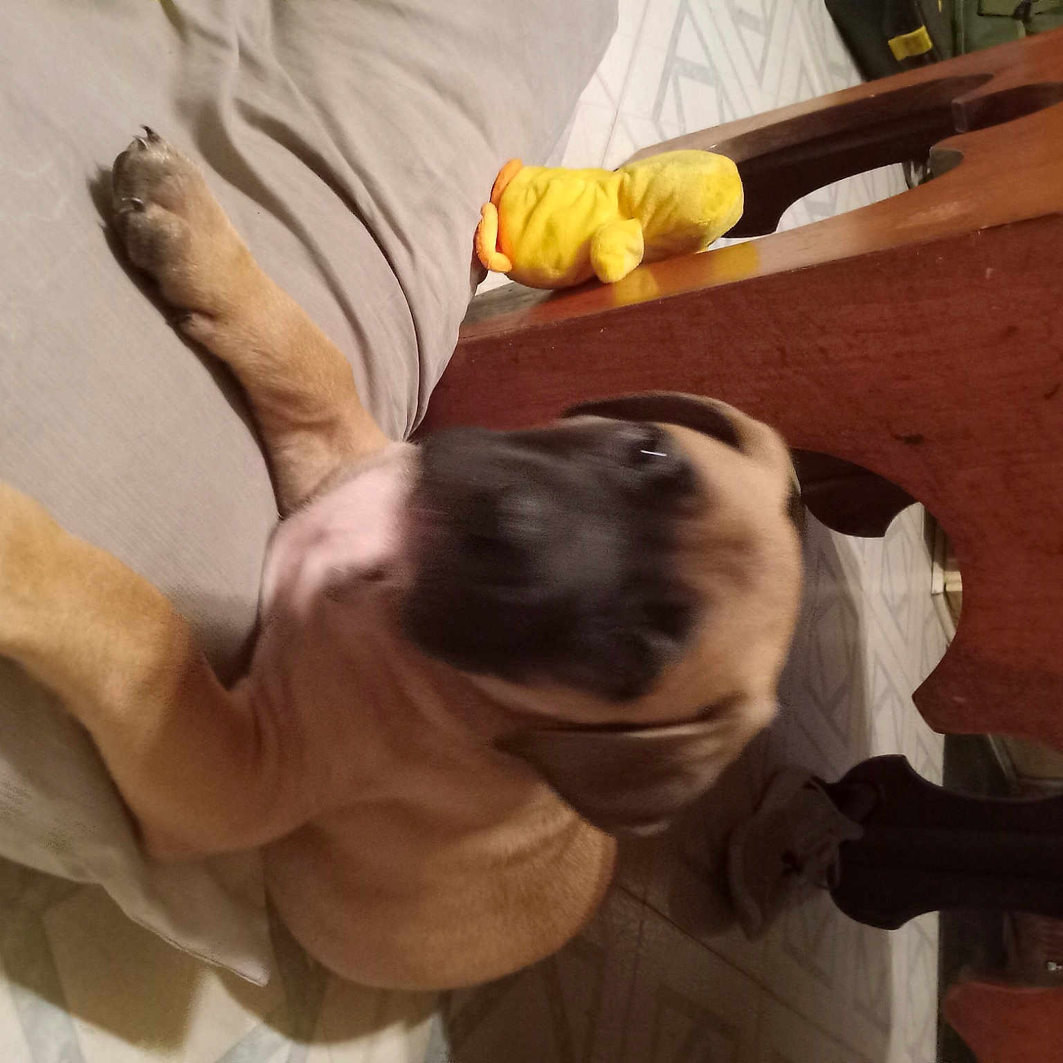 Sampson