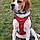 Filou