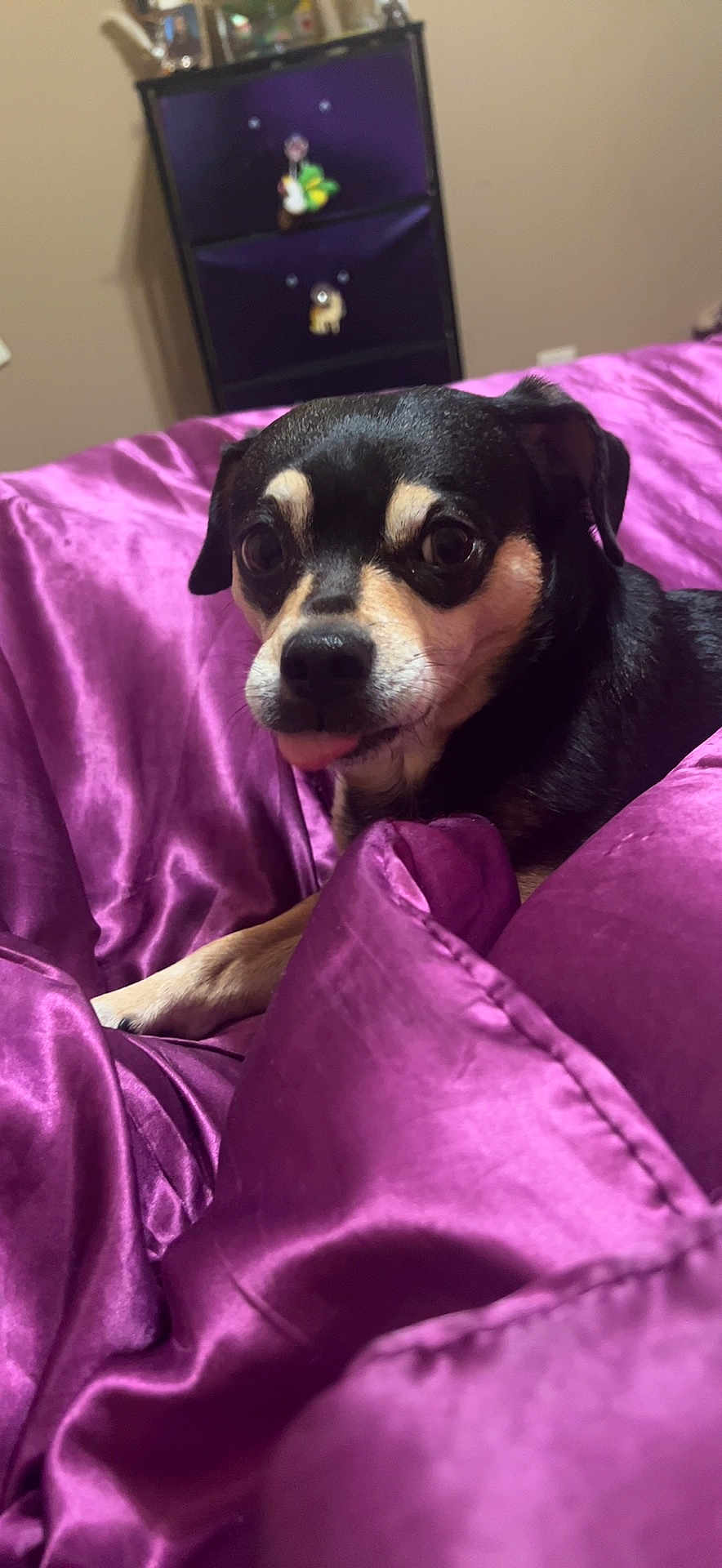 Bella