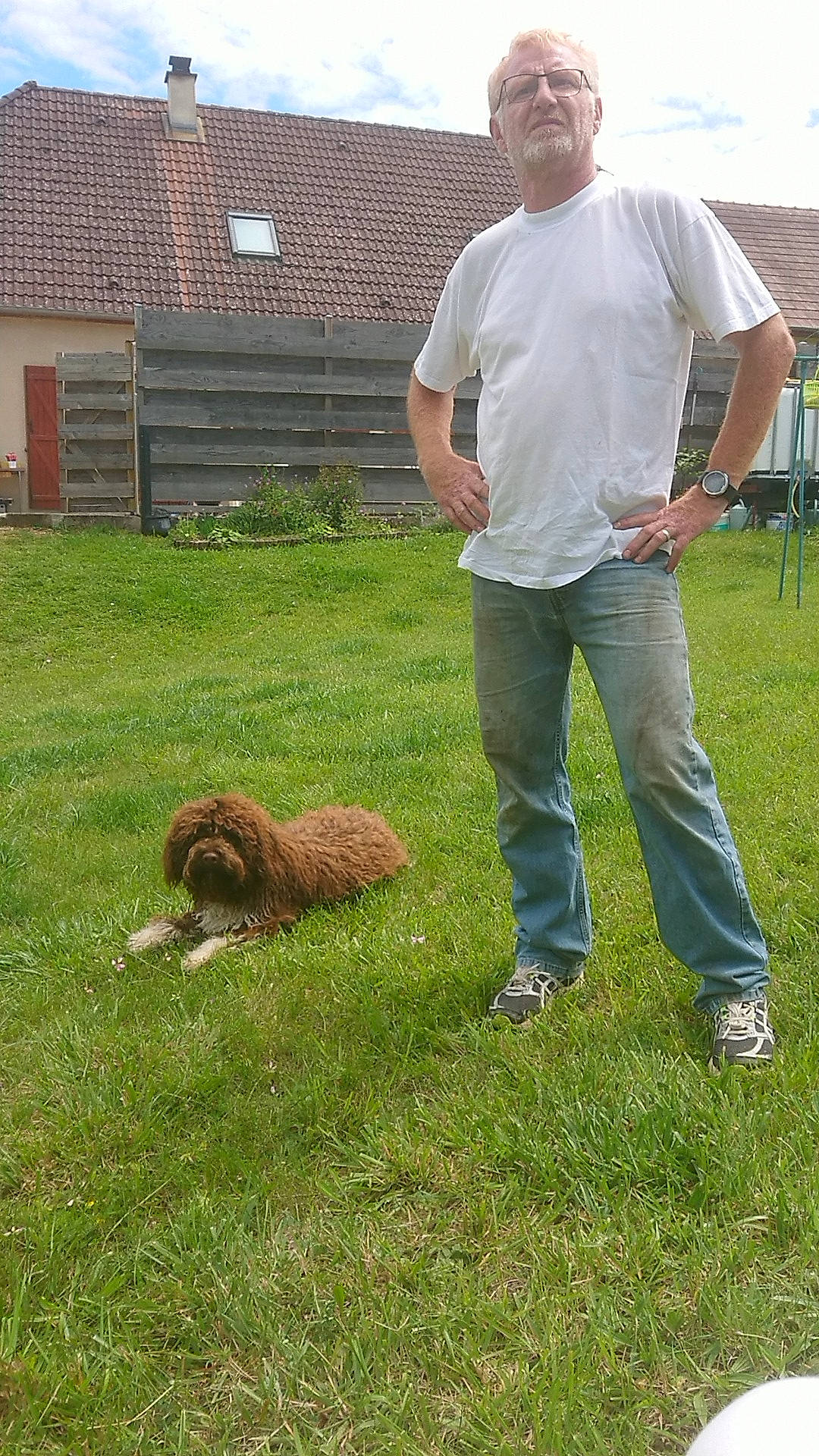 Ping-pong participe au concours pour gagner de l'argent avec cette photo : canidae, carnivore, dog, dog_breed, grass, lawn, mammal, sporting_group