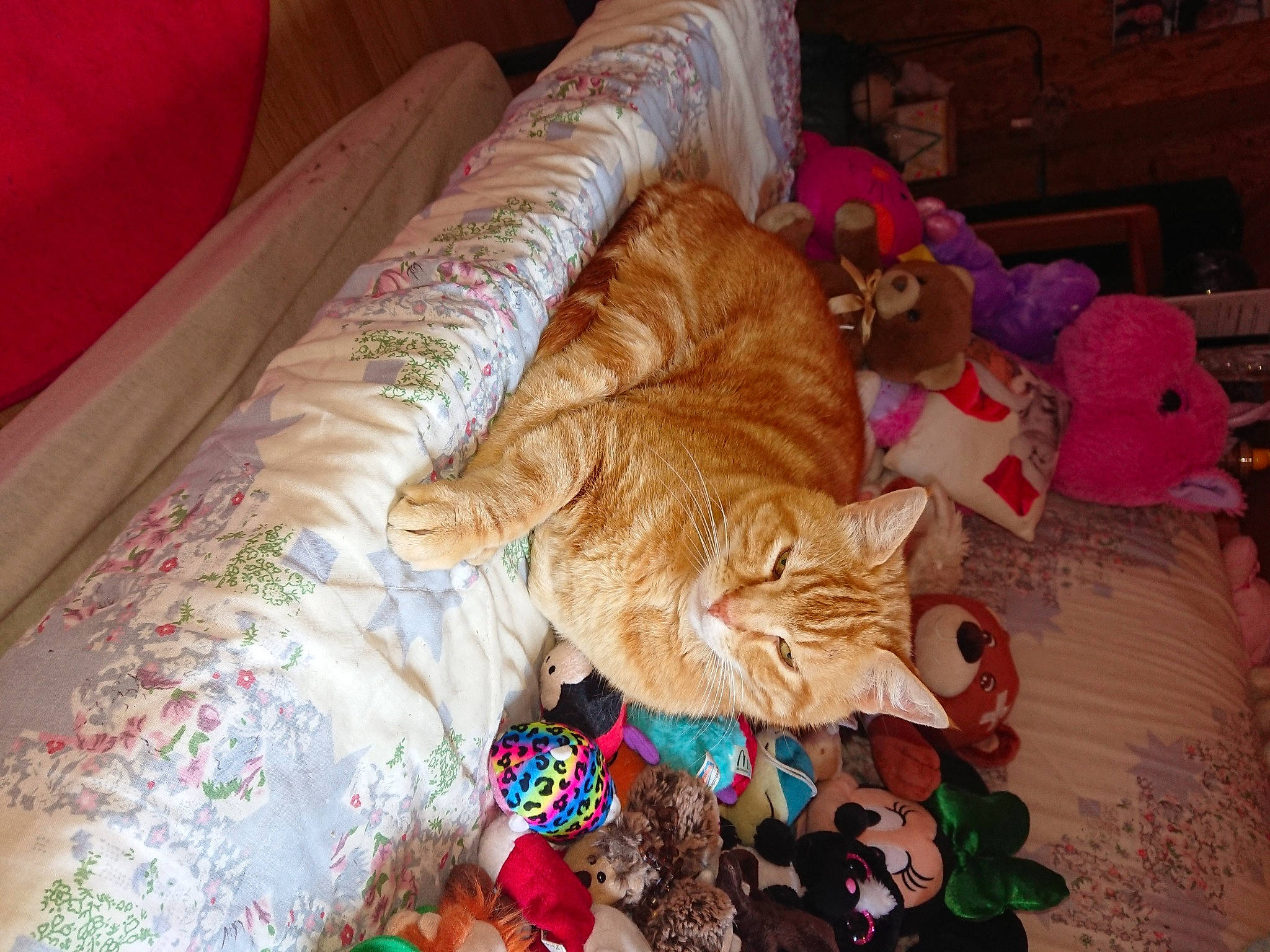 Garfilde a rejoint le concours — aidez-le/la à gagner de superbes lots ! bed, bed_sheet, carnivore, cat, european_shorthair, fawn, felidae, fur, furniture, linens, nap, room, sleep, small_to_medium_sized_cats, tabby_cat, textile, whiskers