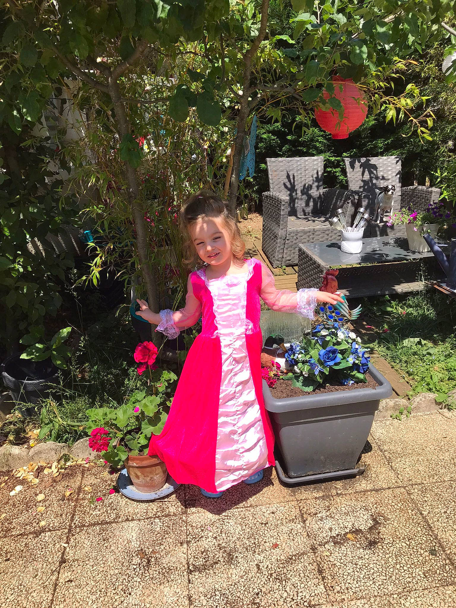 Elvina a rejoint le concours — aidez-le/la à gagner de superbes lots ! annual_plant, botany, flower, flowerpot, fun, garden, grass, groundcover, happy, joy, leaf, leisure, magenta, people_in_nature, person, pink, plant, shrub, smile, soil