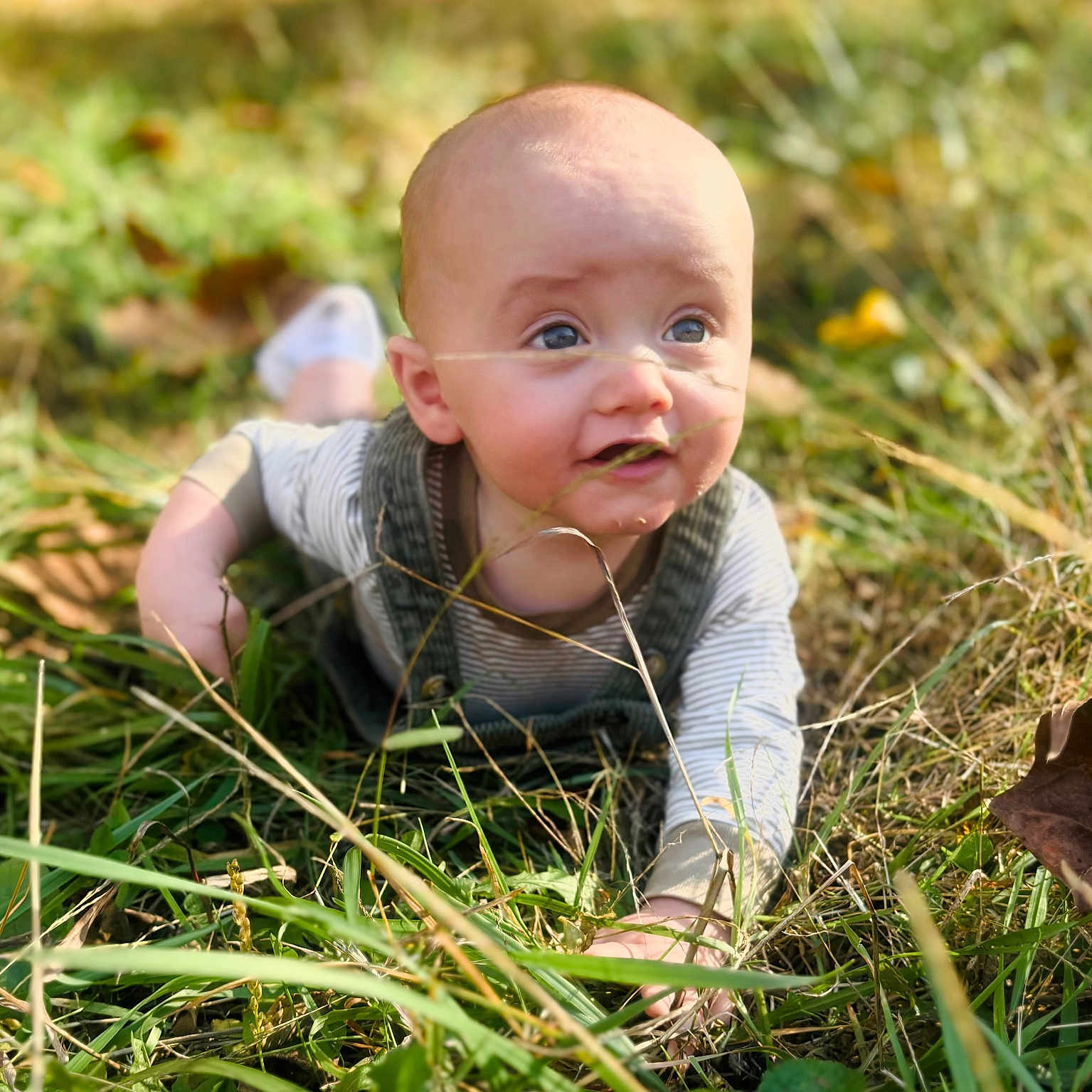 Caston joined the competition — help win amazing prizes! baby, babycrawling, crawling, face, grass, head, person, photography, plant, portrait