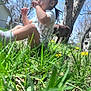 animal, casual, child, cute, dandelion, daylight, dog, grass, greenery, nature, outdoor, person, pet, playing, portrait, summer, sunny, toddler, tree, young