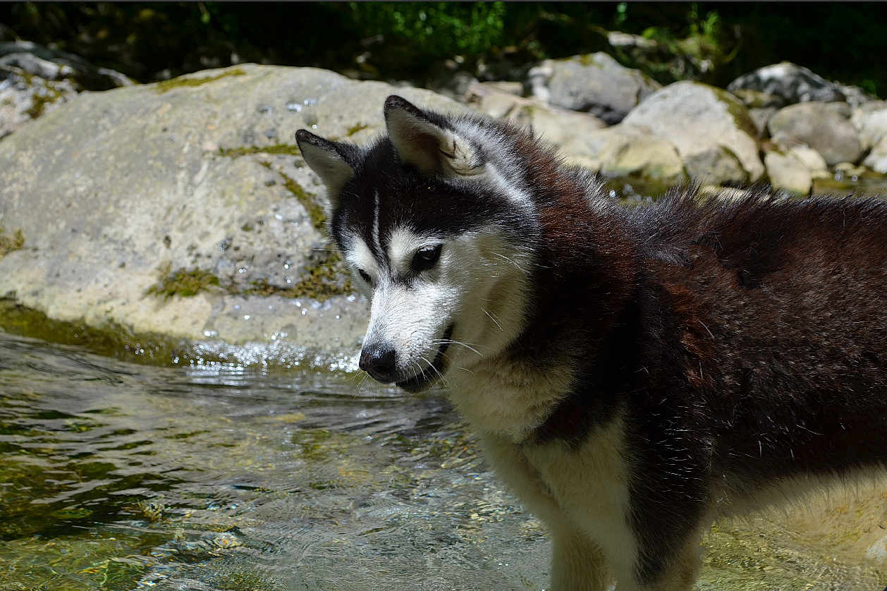 Matsi De L'Igloo Des Sables