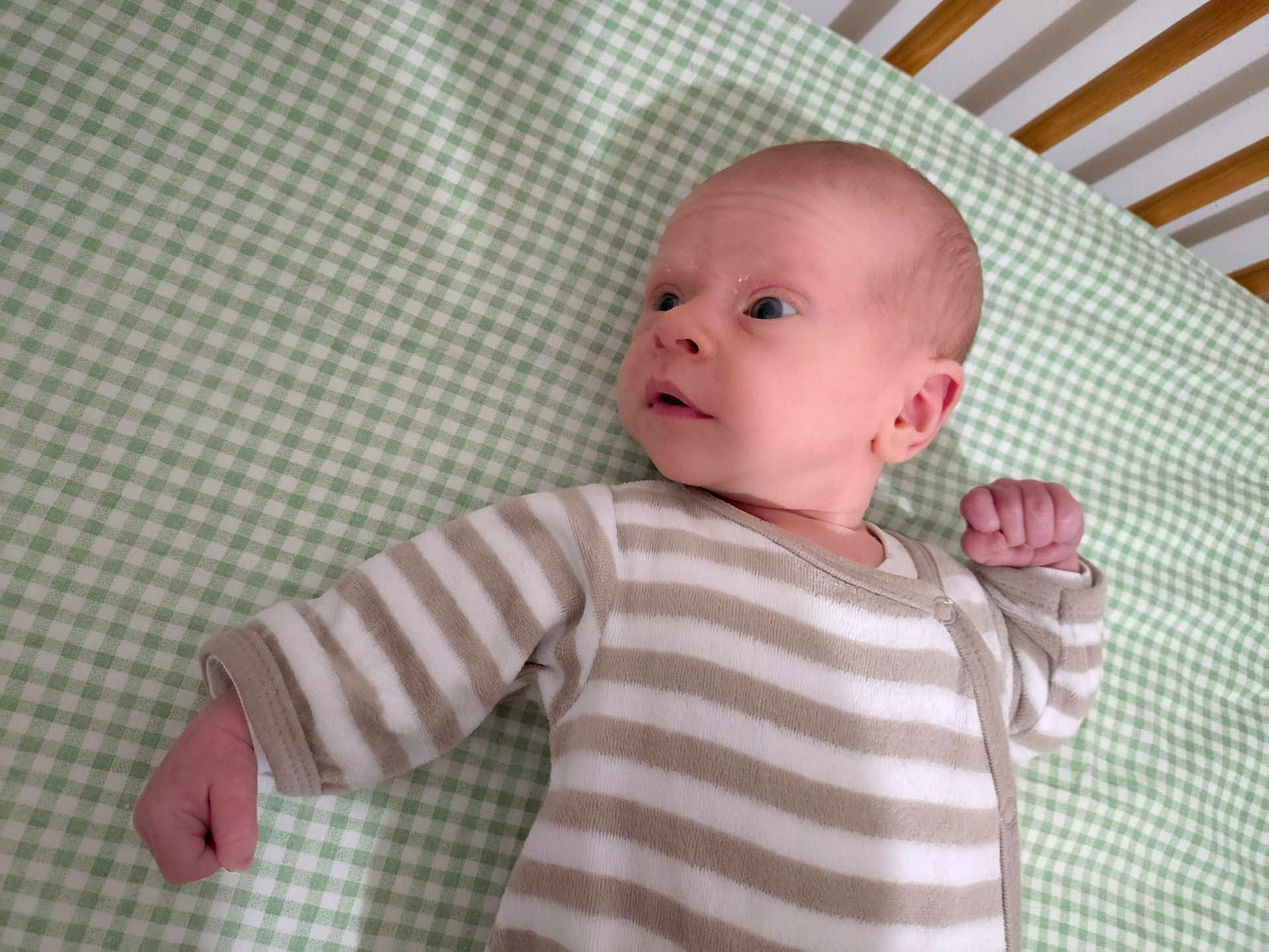 Adryan a rejoint le concours — aidez-le/la à gagner de superbes lots ! baby, infant, striped_clothing, onesie, crib, green_checkered_sheet, wooden_crib_bars, face, head, hand, fist, person, lying_down, indoor, newborn, portrait, skin, expression, sleepwear, child