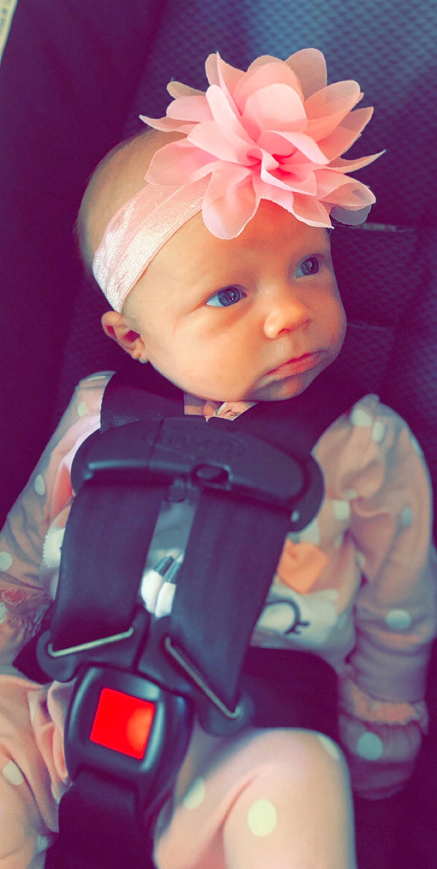 Regan joined the competition — help win amazing prizes! baby, cheek, child, doll, eye, forehead, hair_accessory, head, headgear, person, pink, plant, skin, toddler, toy