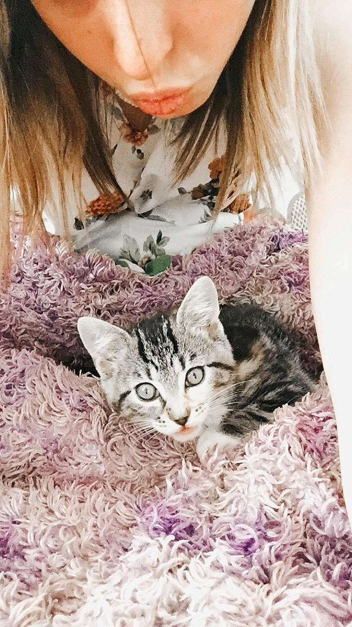 Zoey joined the competition — help win amazing prizes! american_shorthair, american_wirehair, asian, carnivore, cat, domestic_short_haired_cat, ear, european_shorthair, eye, fawn, felidae, fur, kitten, organism, small_to_medium_sized_cats, tabby_cat, whiskers