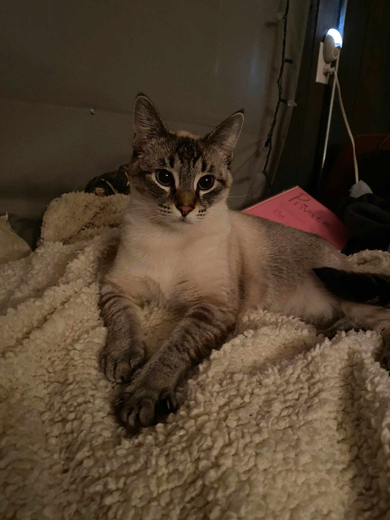 Leia Lou