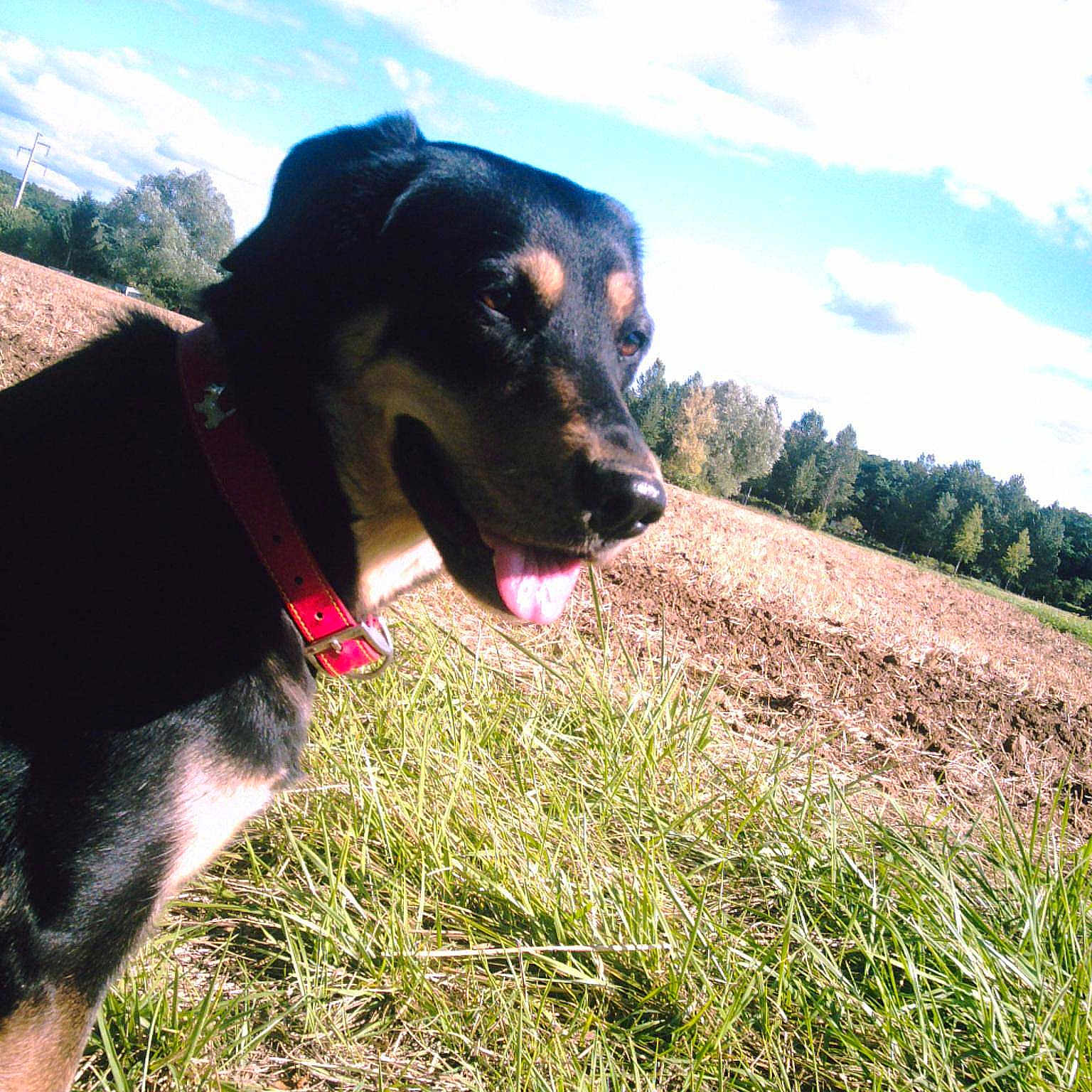 Betty