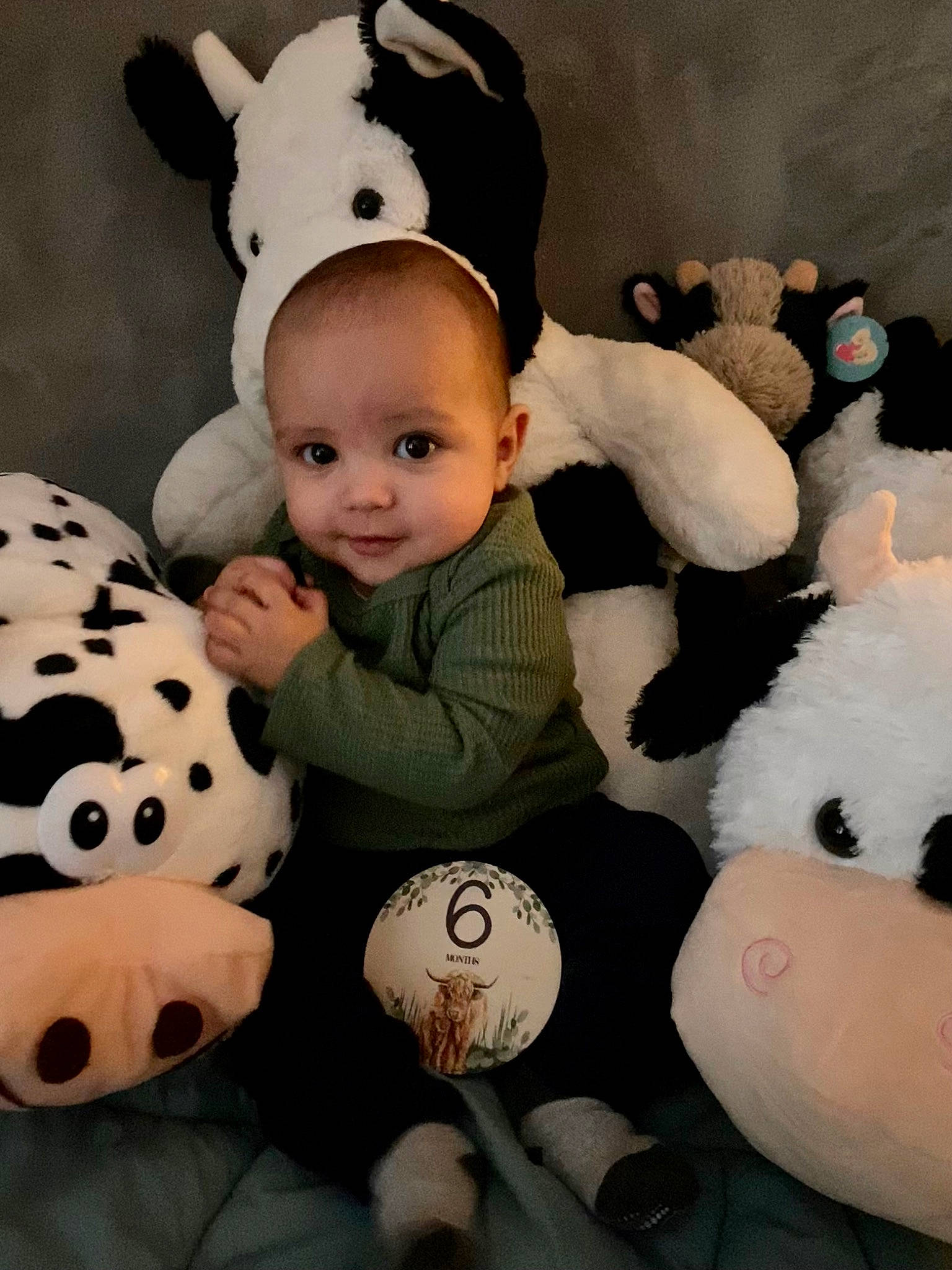 Damian is registered to the contest to win money with this photo: baby, baby_toddler_clothing, cap, child, flash_photography, fun, fur, happy, headgear, mammal, pattern, person, plush, sleeve, smile, stuffed_toy, textile, toddler, toy, vertebrate