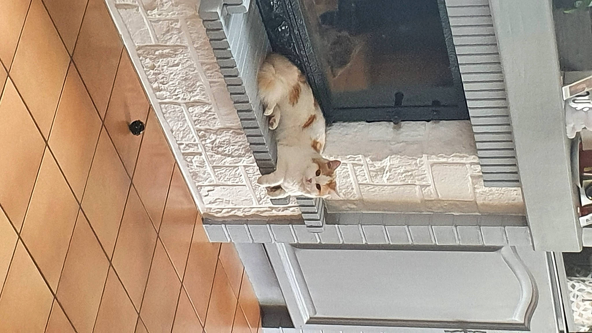 Sylka participe au concours pour gagner de l'argent avec cette photo : art, brick, building, ceiling, composite_material, daylighting, facade, handrail, metal, molding, pattern, rectangle, roof, room, steel, symmetry, wood