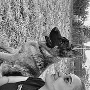 Vyper participe au concours pour gagner de l'argent avec cette photo : woman, dog, german_shepherd, outdoor, grass, pet, animal, companion, nature, portrait, black_and_white, relaxing, side_view, casual_clothing, fence, trees, daytime, friendship, animal_portrait, smile