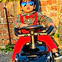 toddler, child, sunglasses, toy_car, red_suspender, red_bow_tie, plaid_shirt, black_shoes, outdoor, brick_wall, sunlight, reflection, steering_wheel, fashion, portrait, cute, playful, person, casual, ground