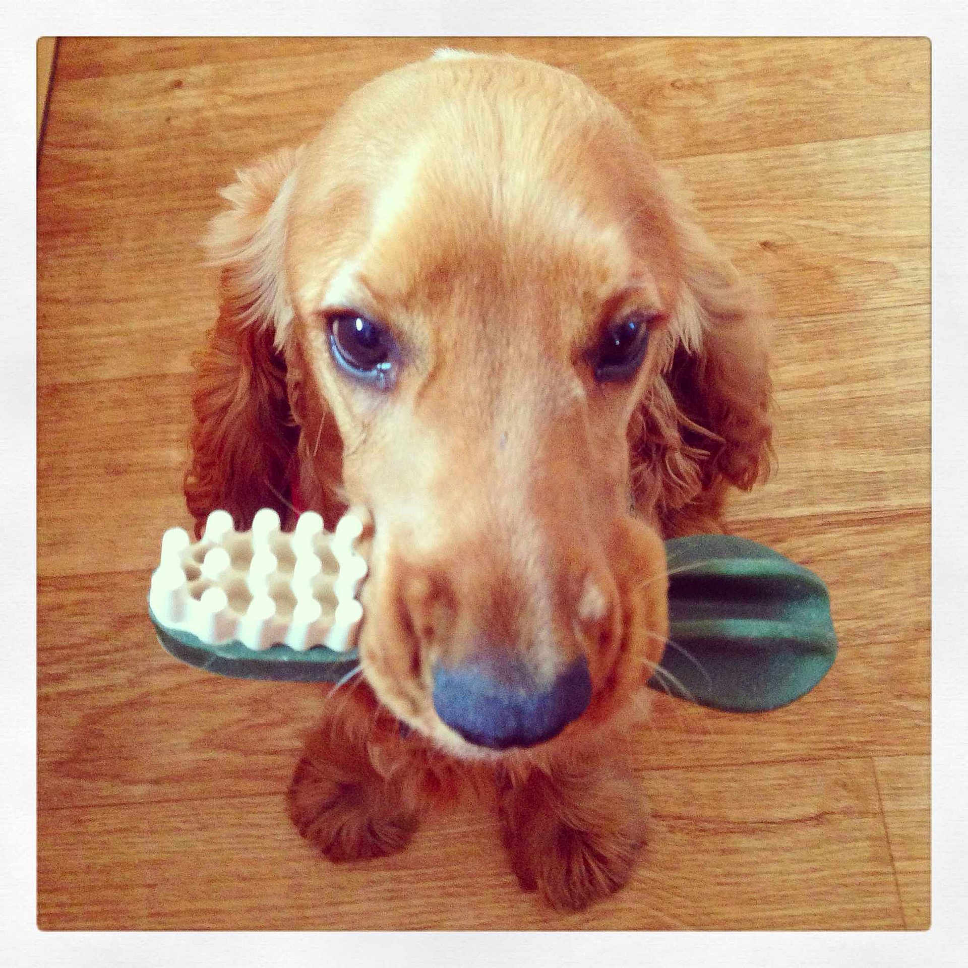 Monty is registered to the contest to win money with this photo: