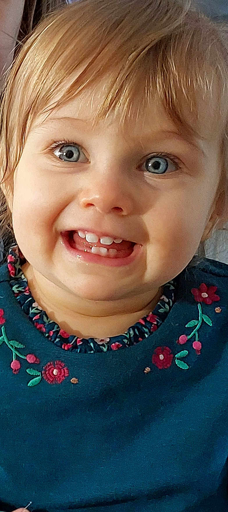 Alicia participe au concours pour gagner de l'argent avec cette photo : toddler, child, smiling, face, blue_eyes, teeth, blonde_hair, portrait, close_up, cute, happy, clothing, embroidery, floral_pattern, person, baby, young_child, indoor, skin, head