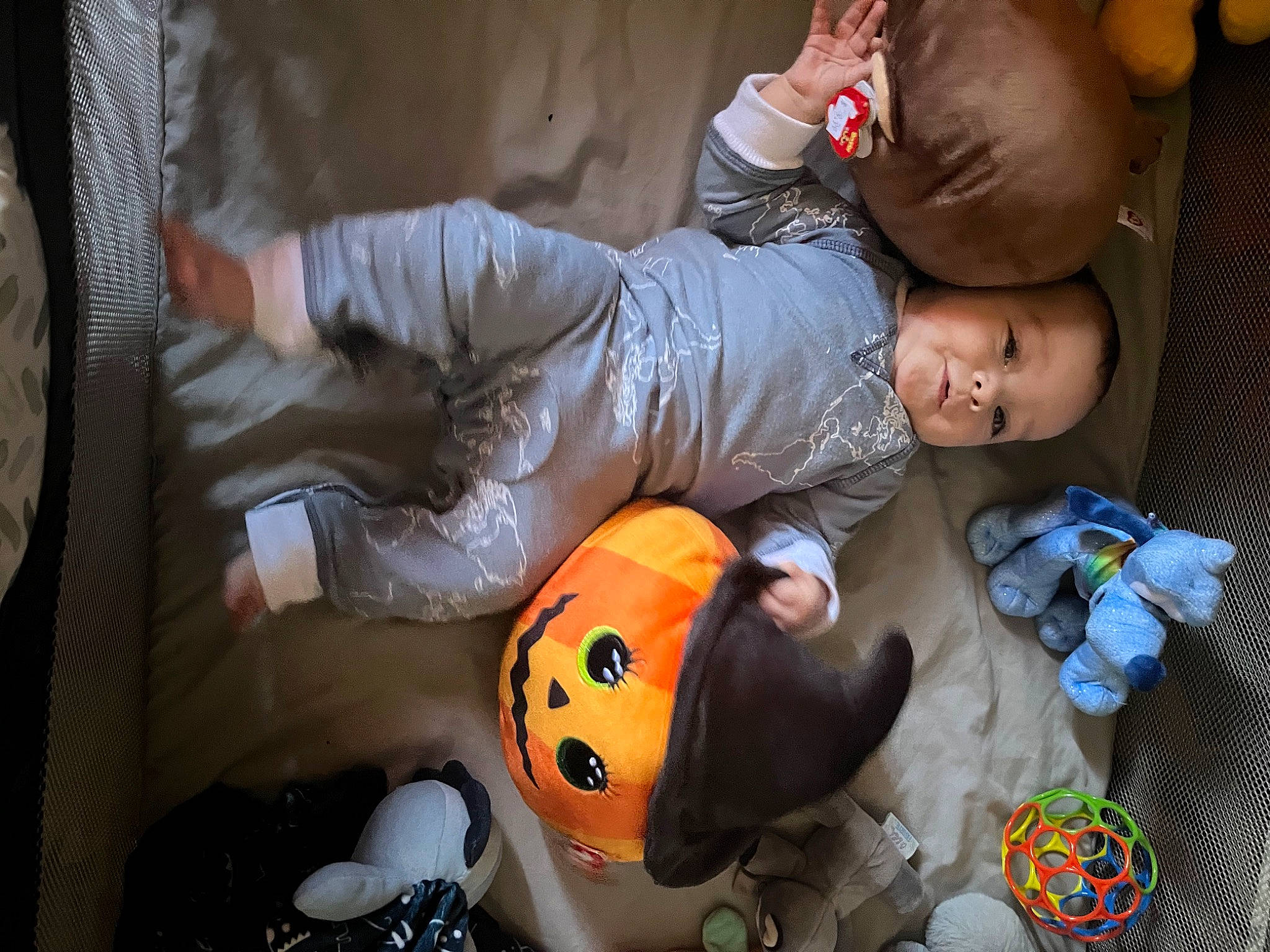 Willie joined the competition — help win amazing prizes! baby, baby_toddler_clothing, baby_toys, child, flooring, fun, happy, mouth, orange, person, personal_protective_equipment, play, pumpkin, room, sitting, textile, toddler, toy, wood