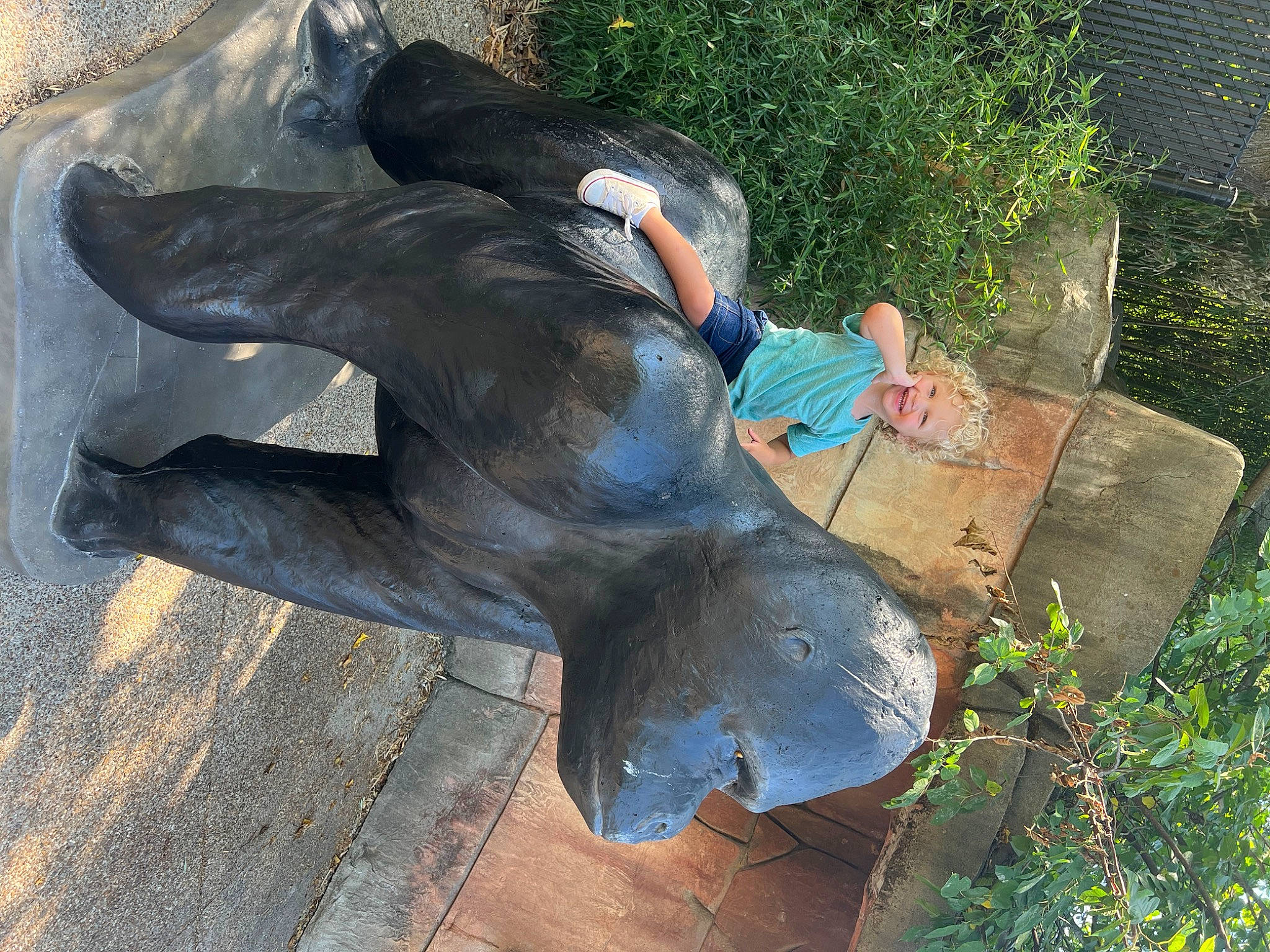 Jameson joined the competition — help win amazing prizes! art, beak, concrete, flightless_bird, grass, hat, joy, lawn_ornament, leisure, marine_mammal, person, personal_protective_equipment, plant, recreation, rock, sculpture, sitting, soil, statue, tree