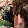 cardboard_box, cat, close_up, collar, content, cozy, curly_hair, domestic_animal, fur, glasses, hand, indoor, person, petting, relaxed, snug, tabby_cat, tiled_floor, whiskers, wooden_table