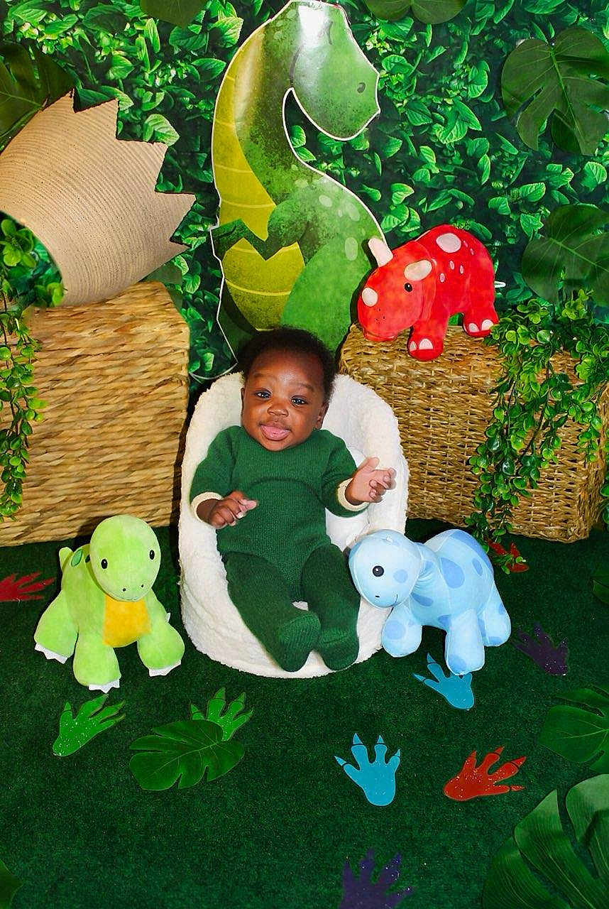 D'Maj is registered to the contest to win money with this photo: baby, child, green_clothing, plush_toys, dinosaur, stuffed_animals, indoor, decor, leaves, plants, chair, smiling, cute, toddler, playful, soft_toys, colorful, background, portrait, happy