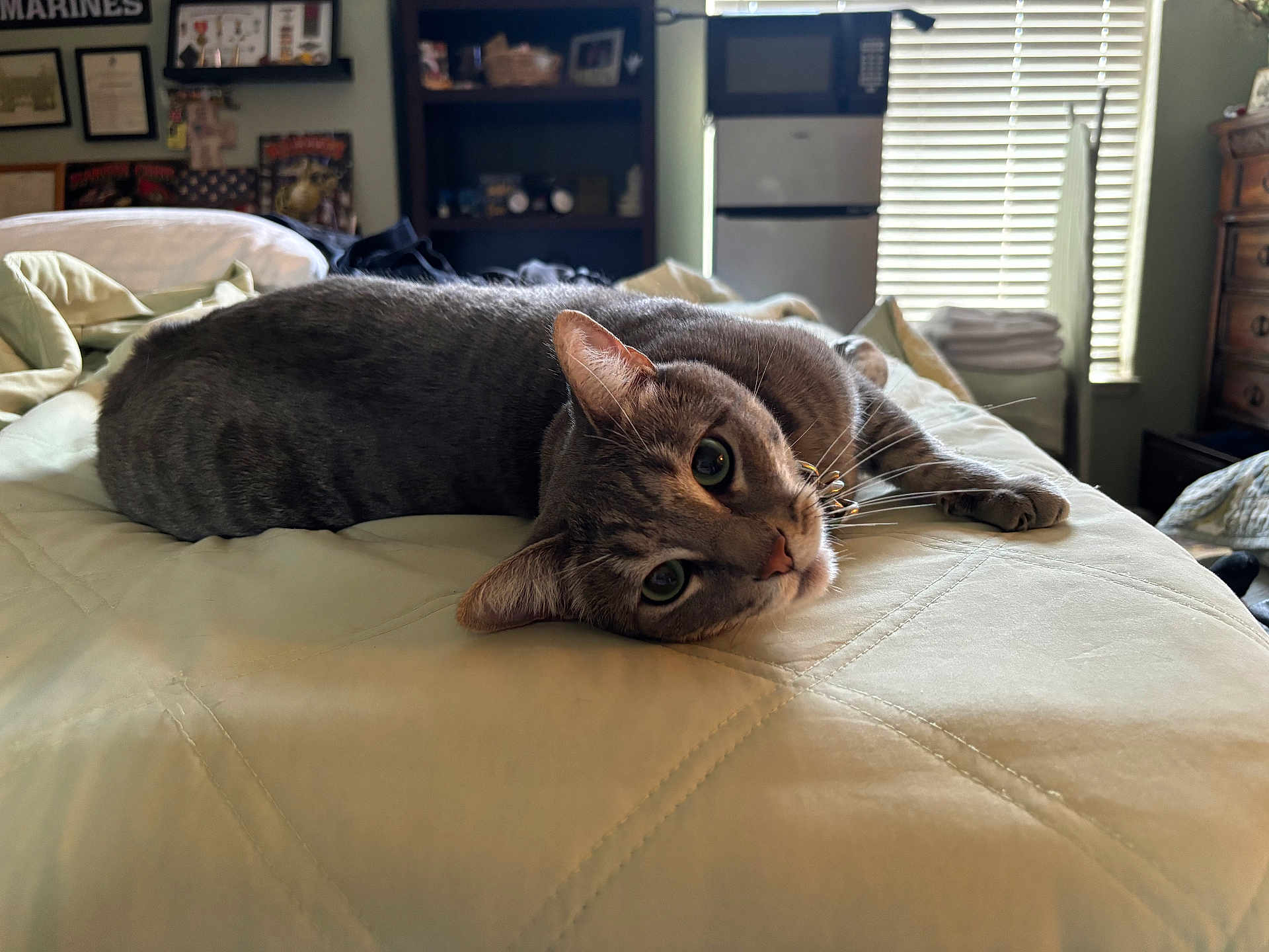 Vinny