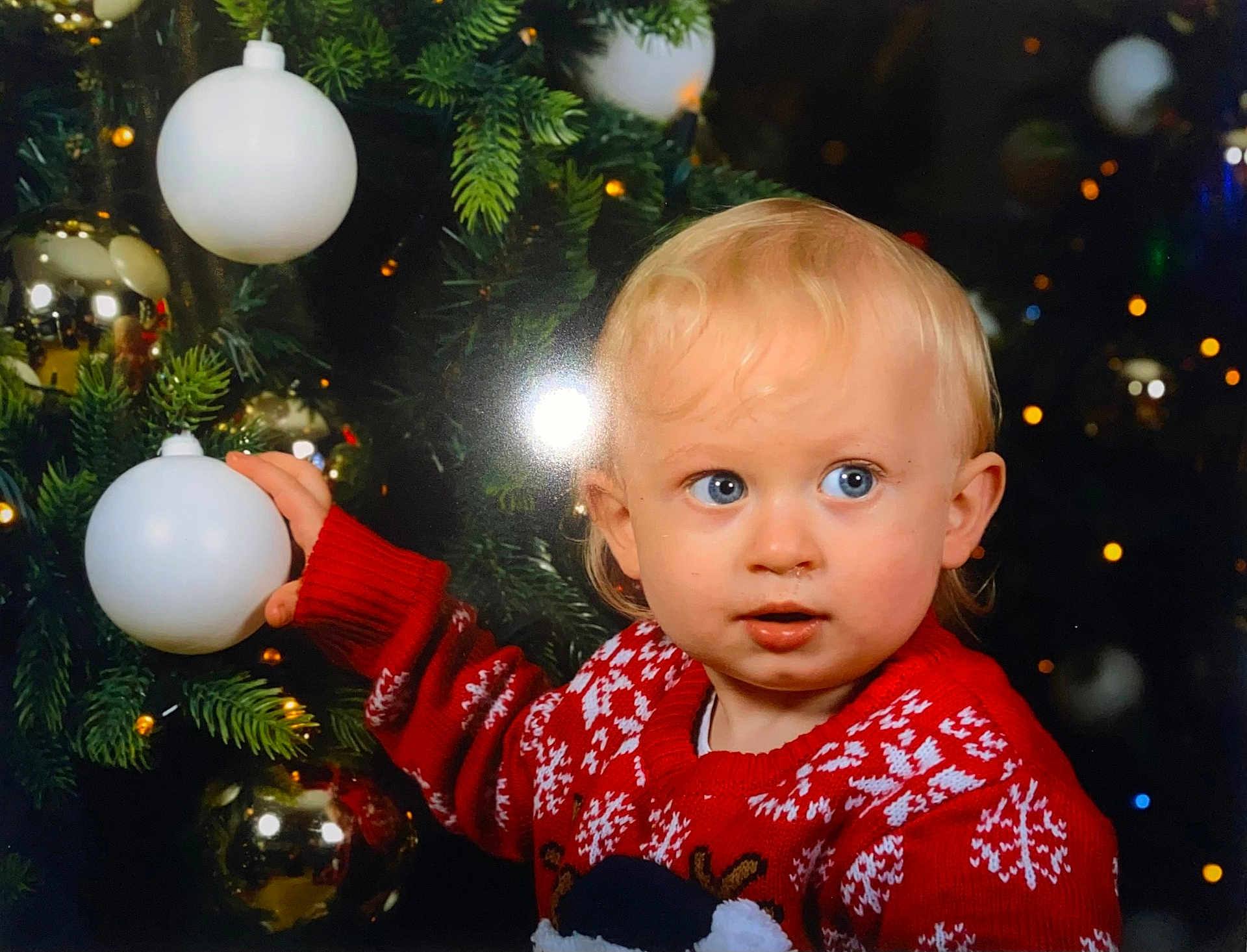 Milo a rejoint le concours — aidez-le/la à gagner de superbes lots ! child, toddler, christmas_tree, ornament, red_sweater, holiday, decoration, blonde_hair, blue_eyes, indoor, festive, curious, face, portrait, holiday_lights, seasonal, young_child, celebration, winter_wear, holiday_spirit