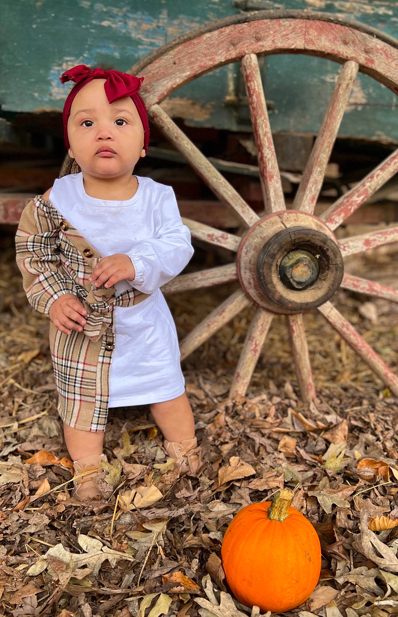 Princess joined the competition — help win amazing prizes! auto_part, automotive_tire, automotive_wheel_system, calabaza, child, cucurbita, fun, gourd, grass, natural_foods, people_in_nature, person, photograph, plant, pumpkin, recreation, squash, toddler, vegetable, wheel