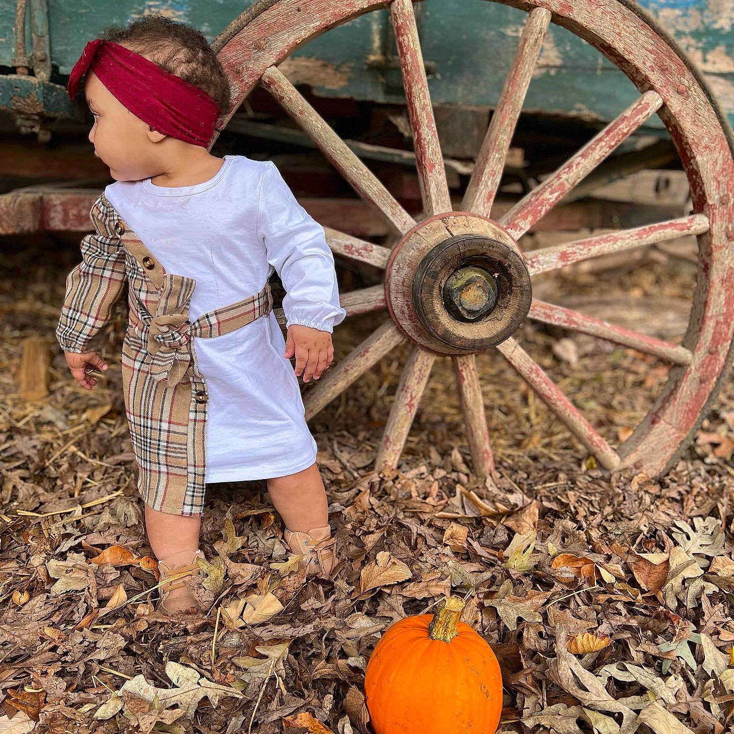 Princess joined the competition — help win amazing prizes! alloy_wheel, automotive_tire, calabaza, cucurbita, gourd, grass, green, motor_vehicle, natural_foods, people_in_nature, person, photograph, plant, pumpkin, rim, shorts, squash, tire, toddler, wheel