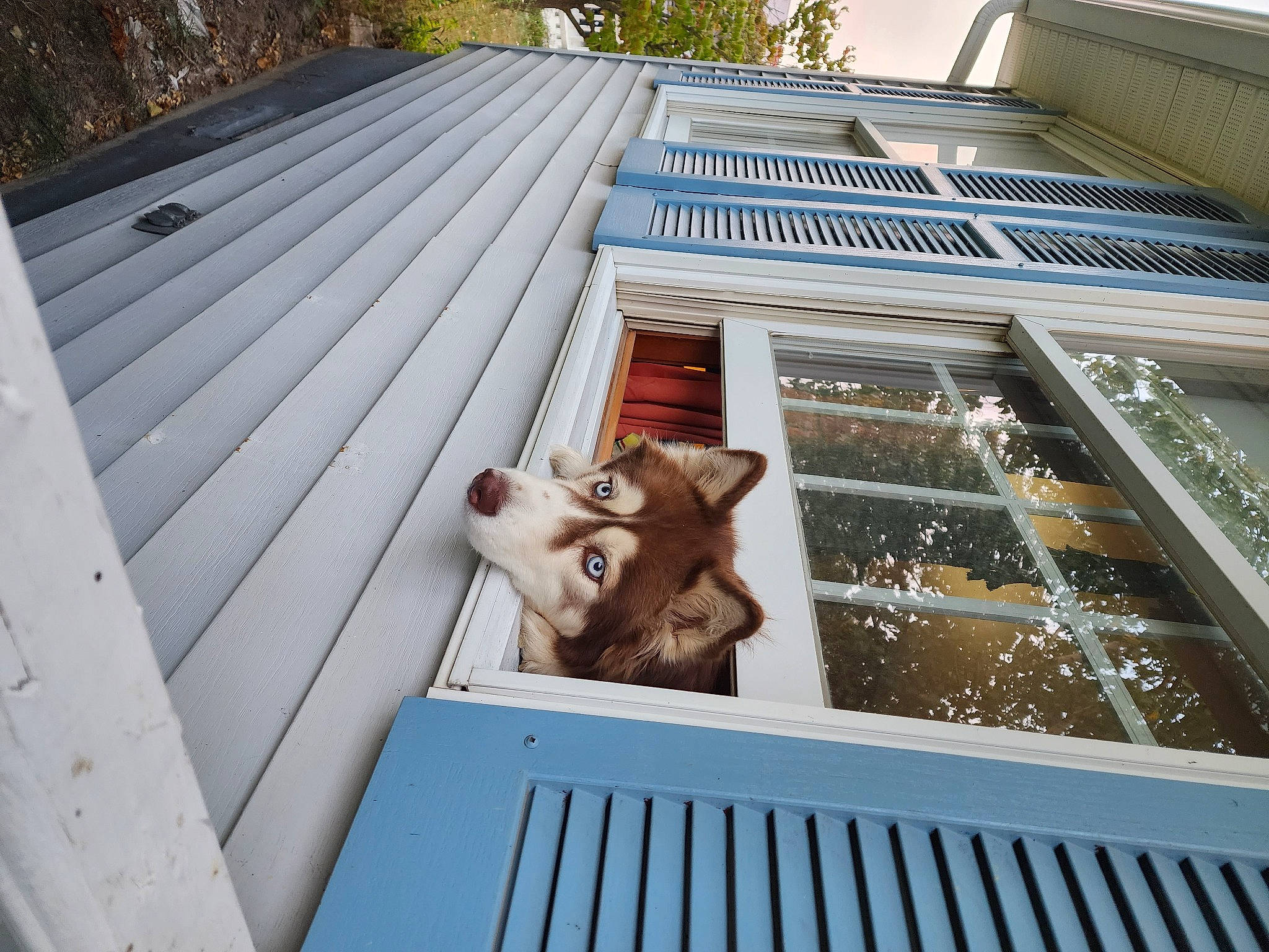 Ana joined the competition — help win amazing prizes! beauty, building, carnivore, daylighting, facade, fawn, hardwood, house, leisure, metal, outdoor_furniture, property, rectangle, roof, room, siding, symmetry, toy, window, wood